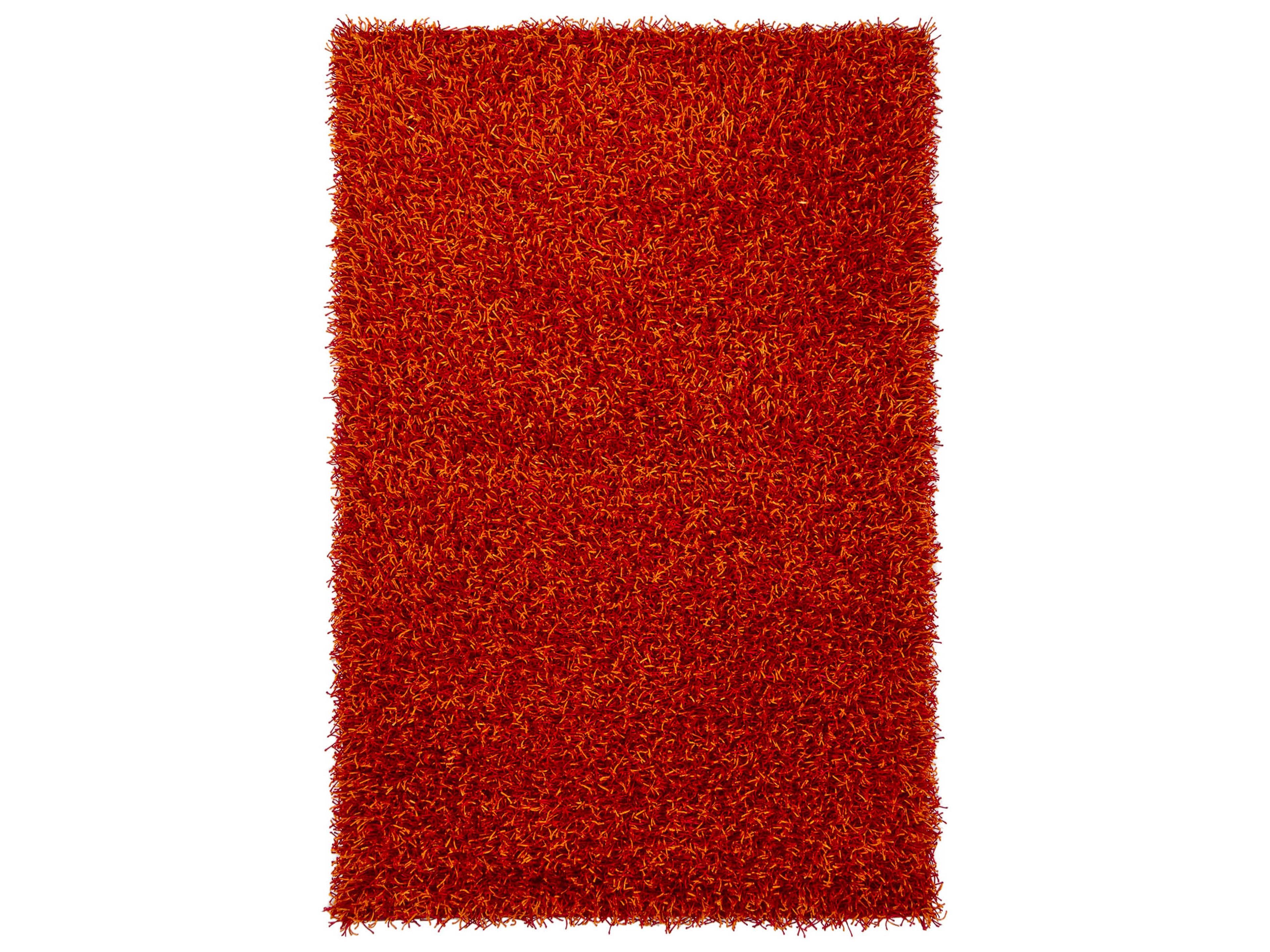 Chandra Zara Shag Area Rug