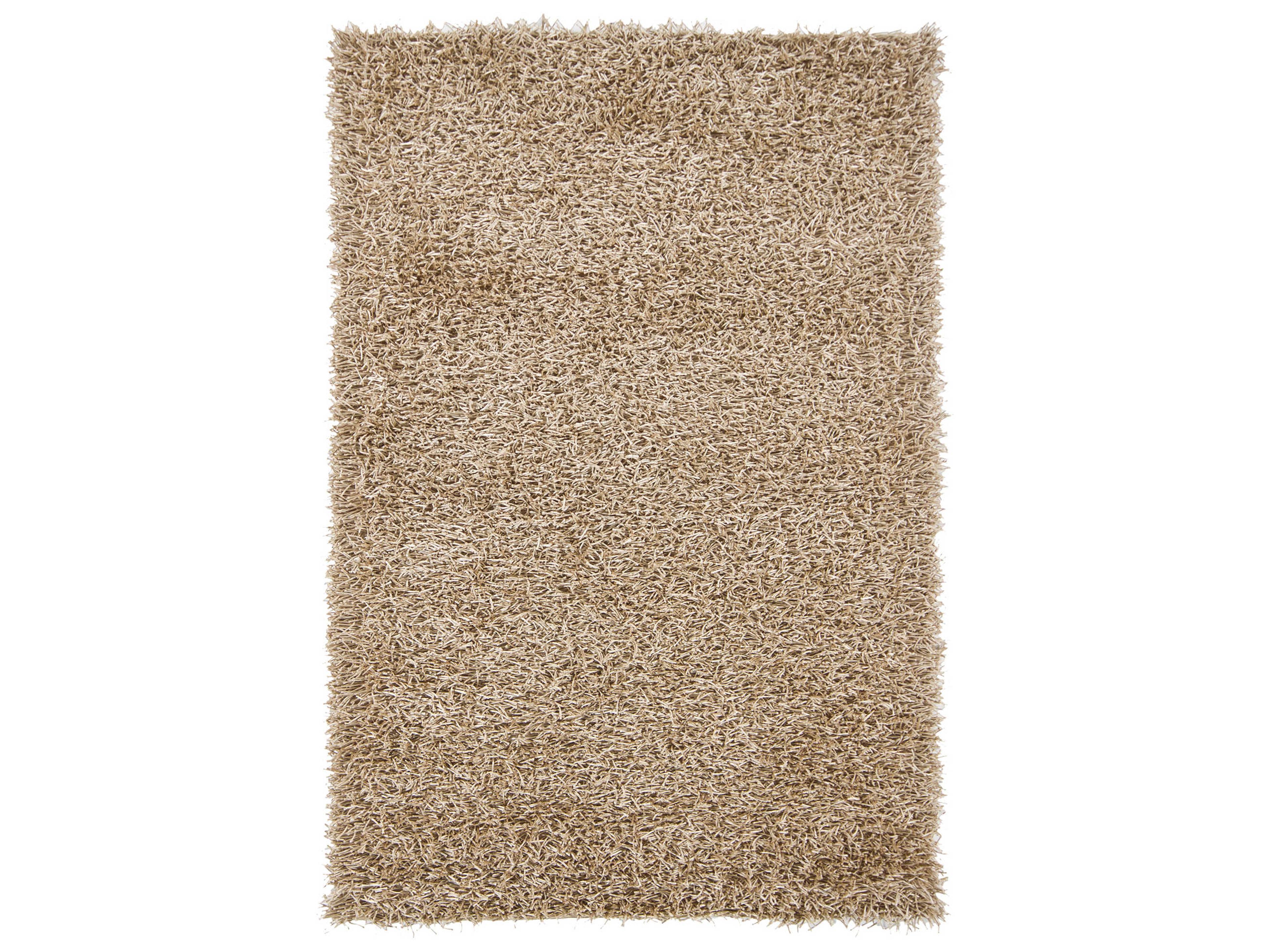 Chandra Zara Shag Area Rug