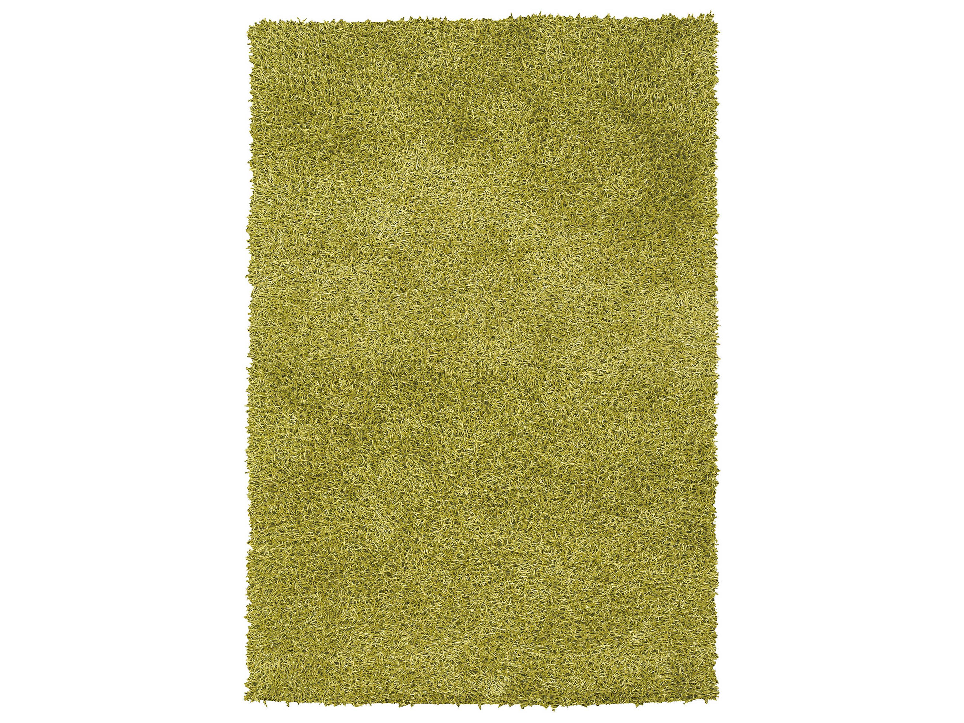 Chandra Zara Shag Area Rug