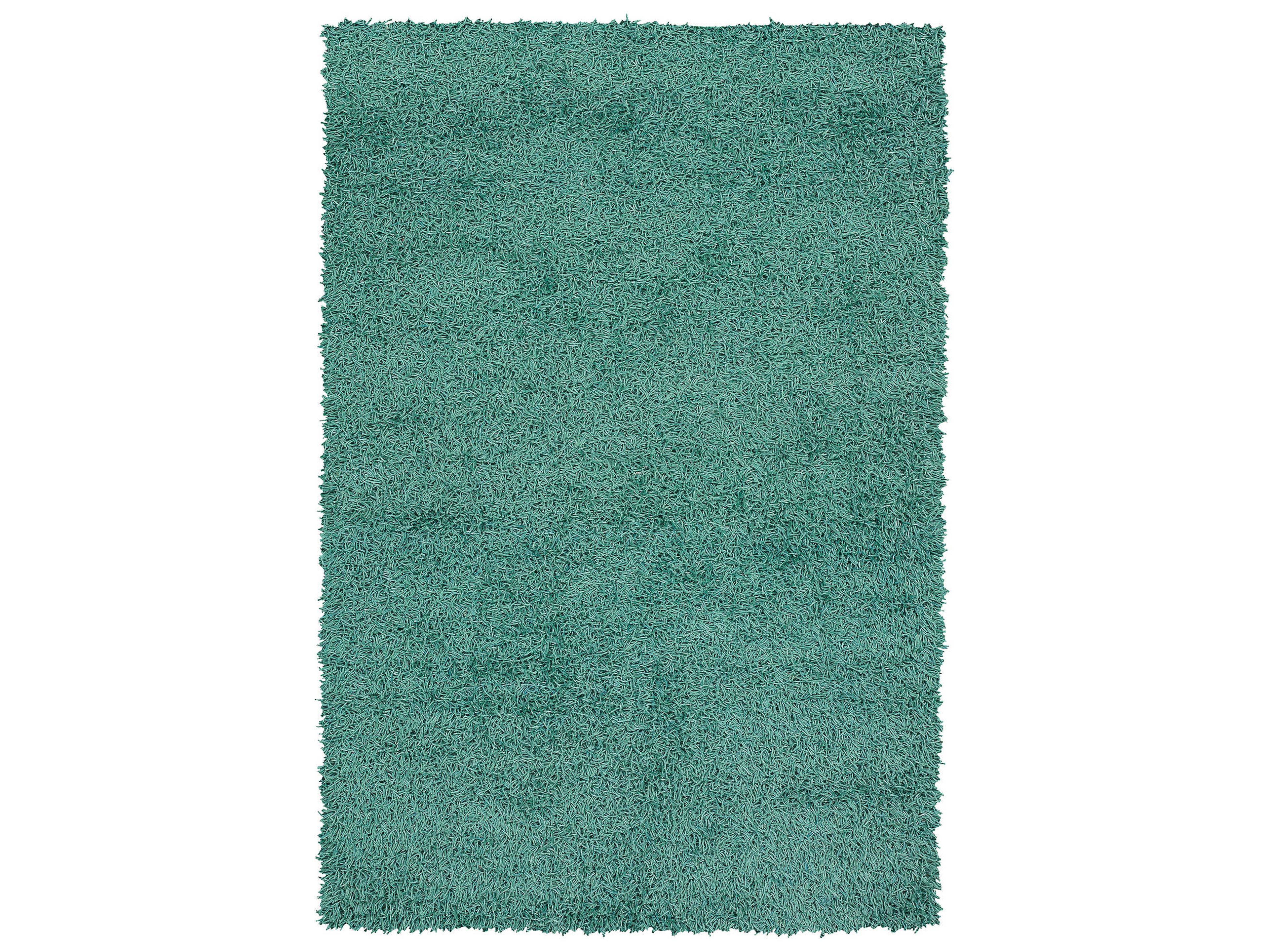 Chandra Zara Shag Area Rug