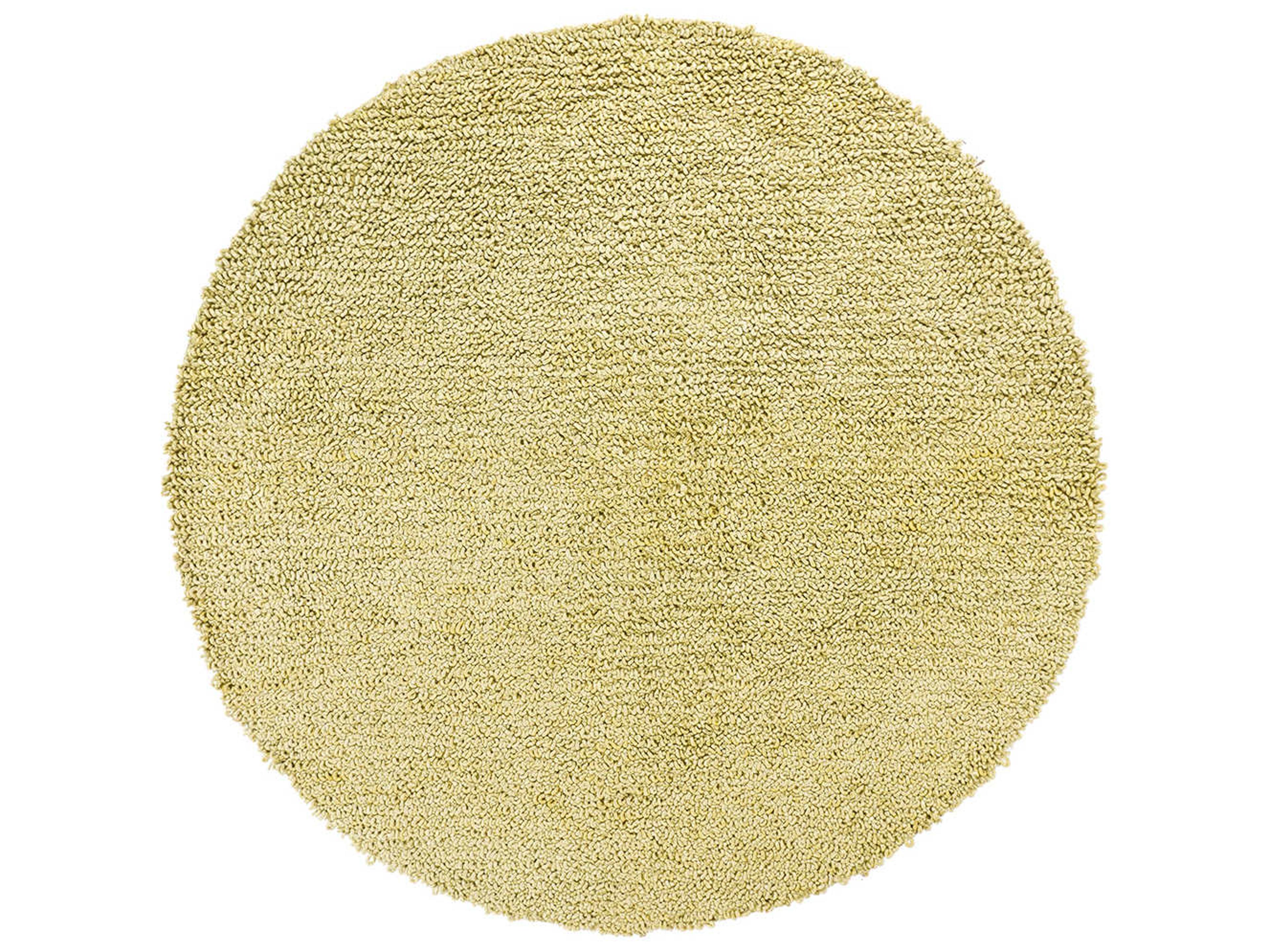 Chandra Zeal Shag Area Rug