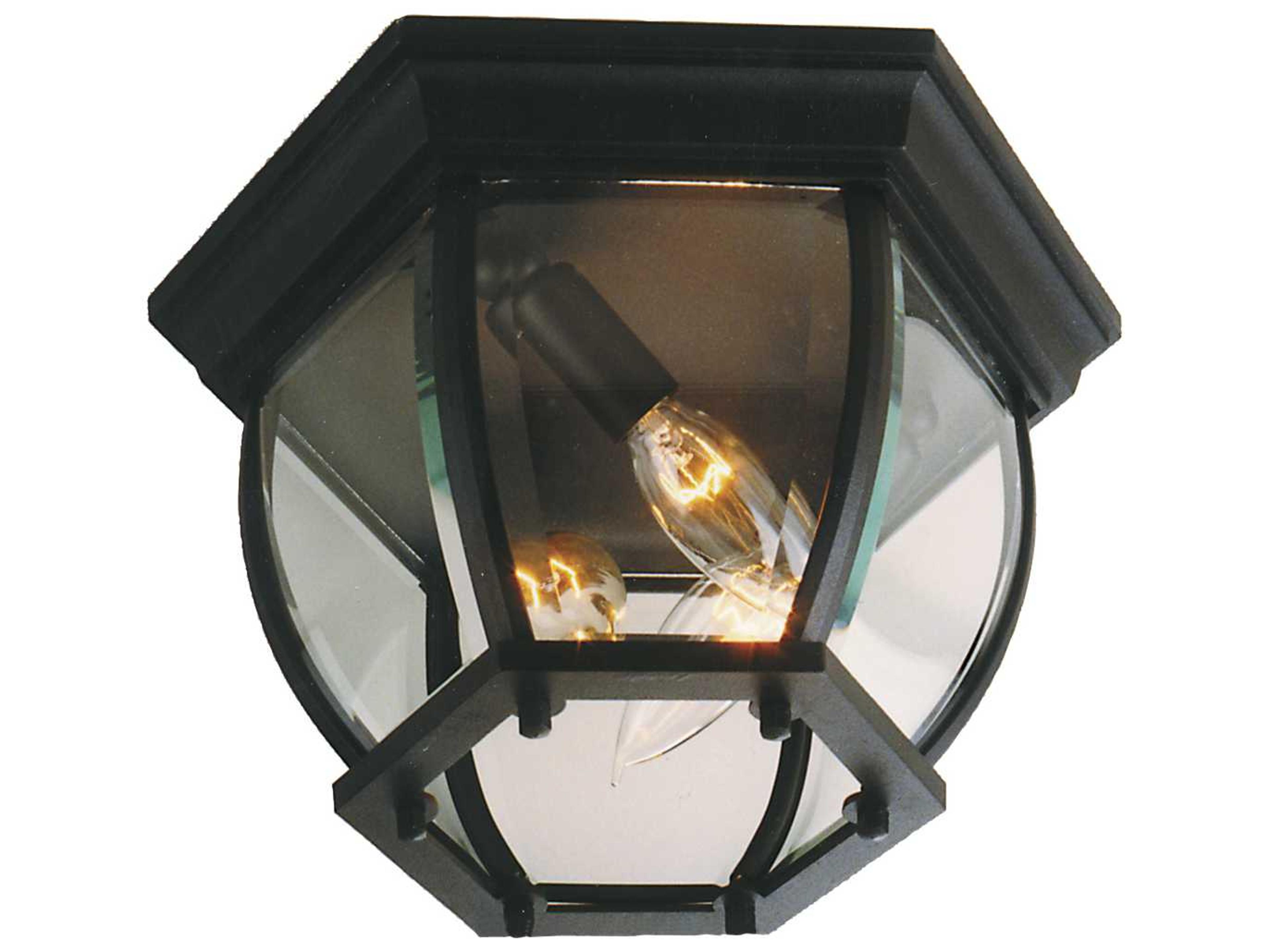 Bent Glass Outdoor Ceiling Light