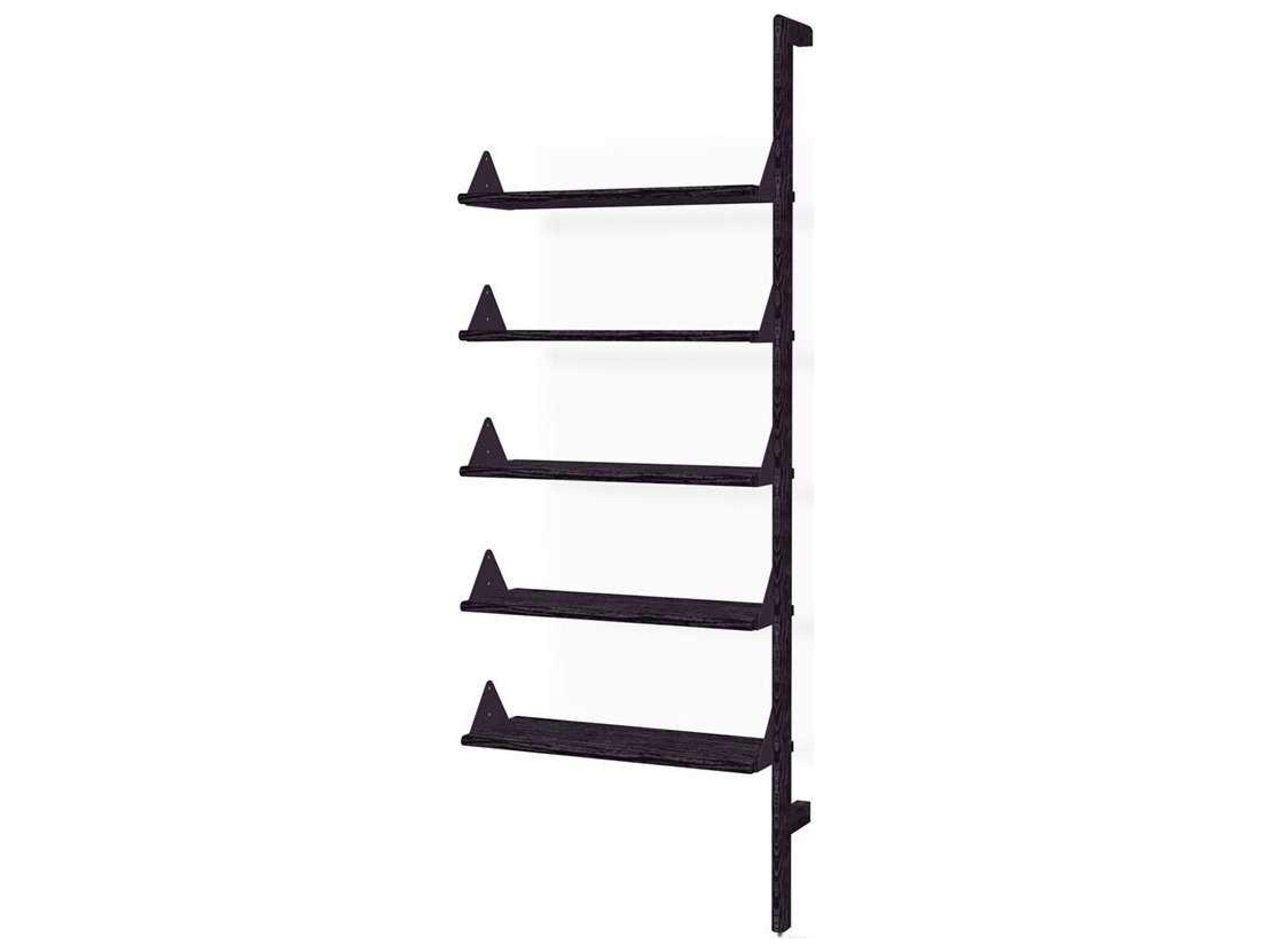 Gus* Modern Branch Ash Black Bookcase