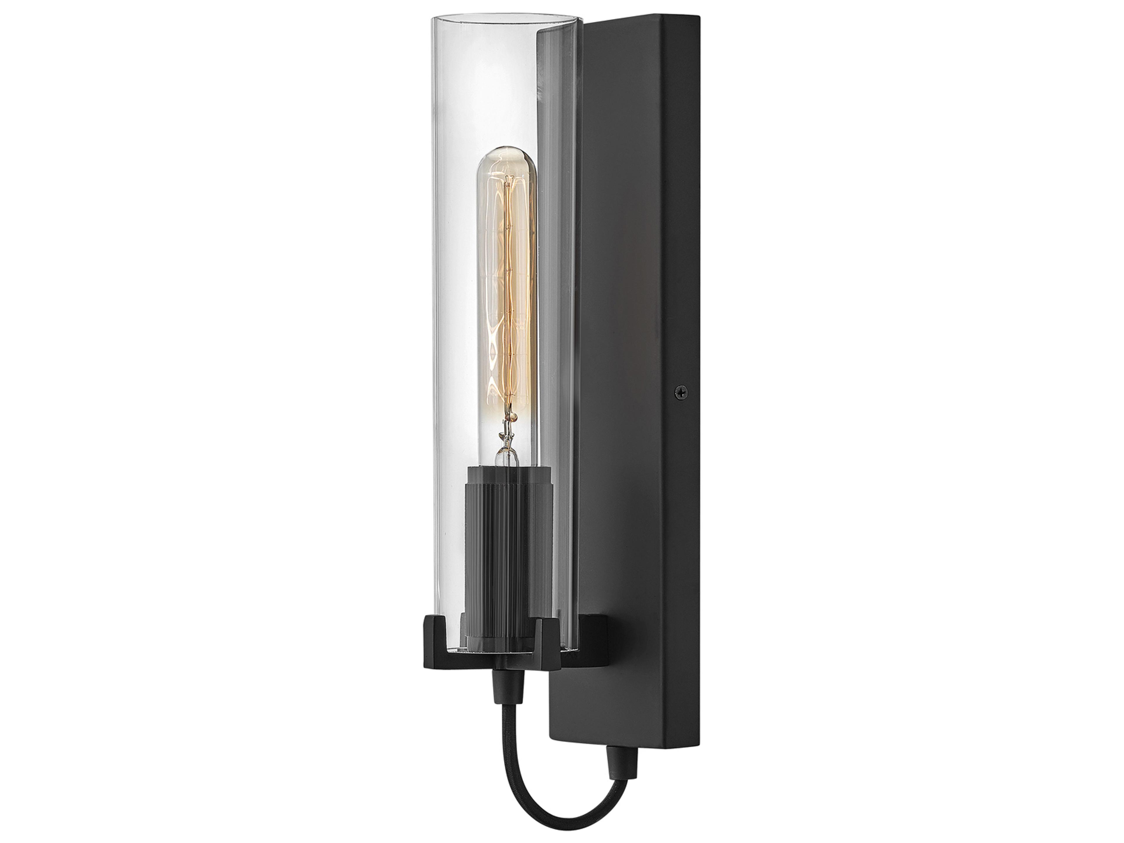Hinkley Ryden 1-Light Black Glass Wall Sconce