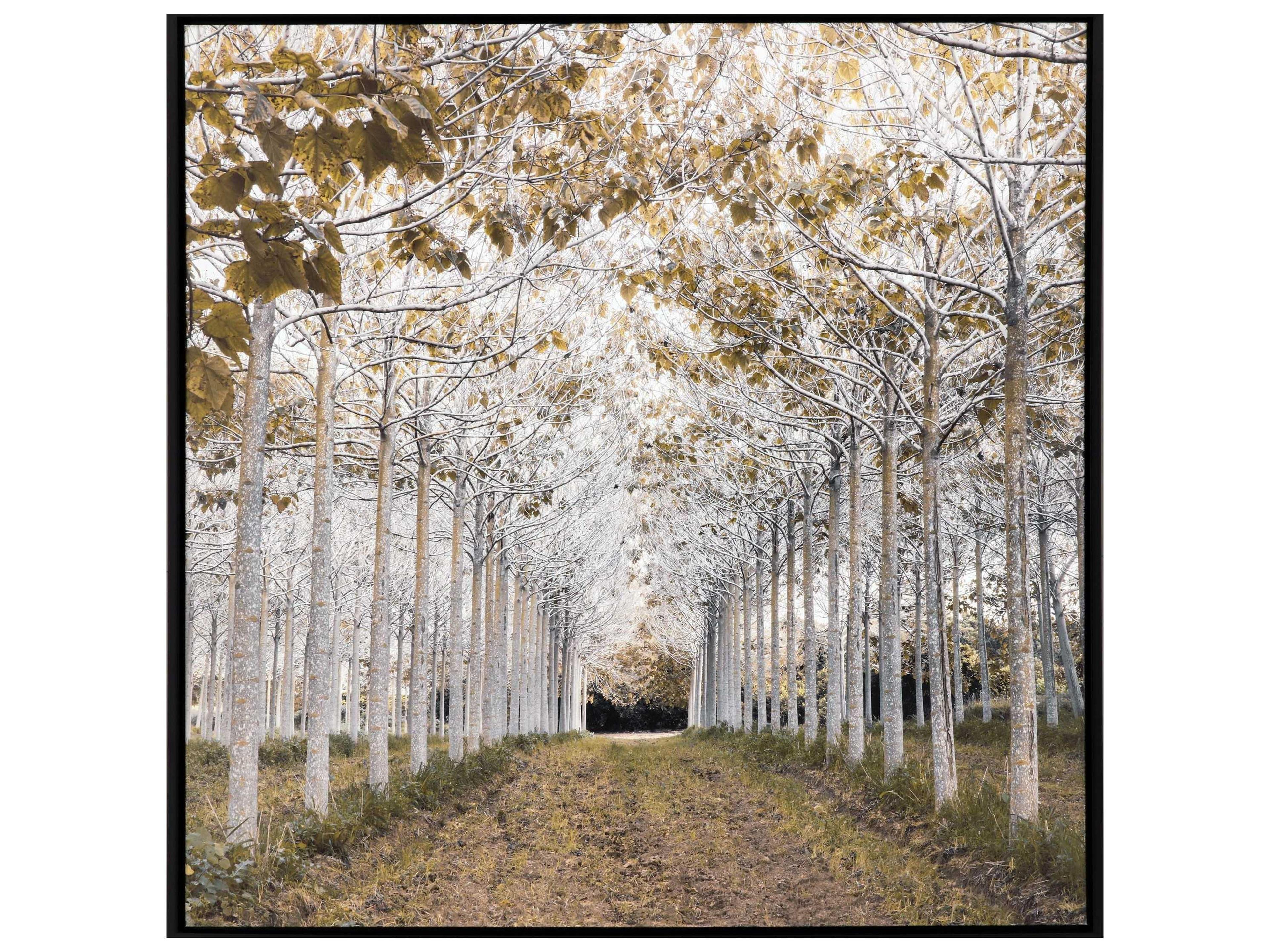 Paragon Frank Wall Decor