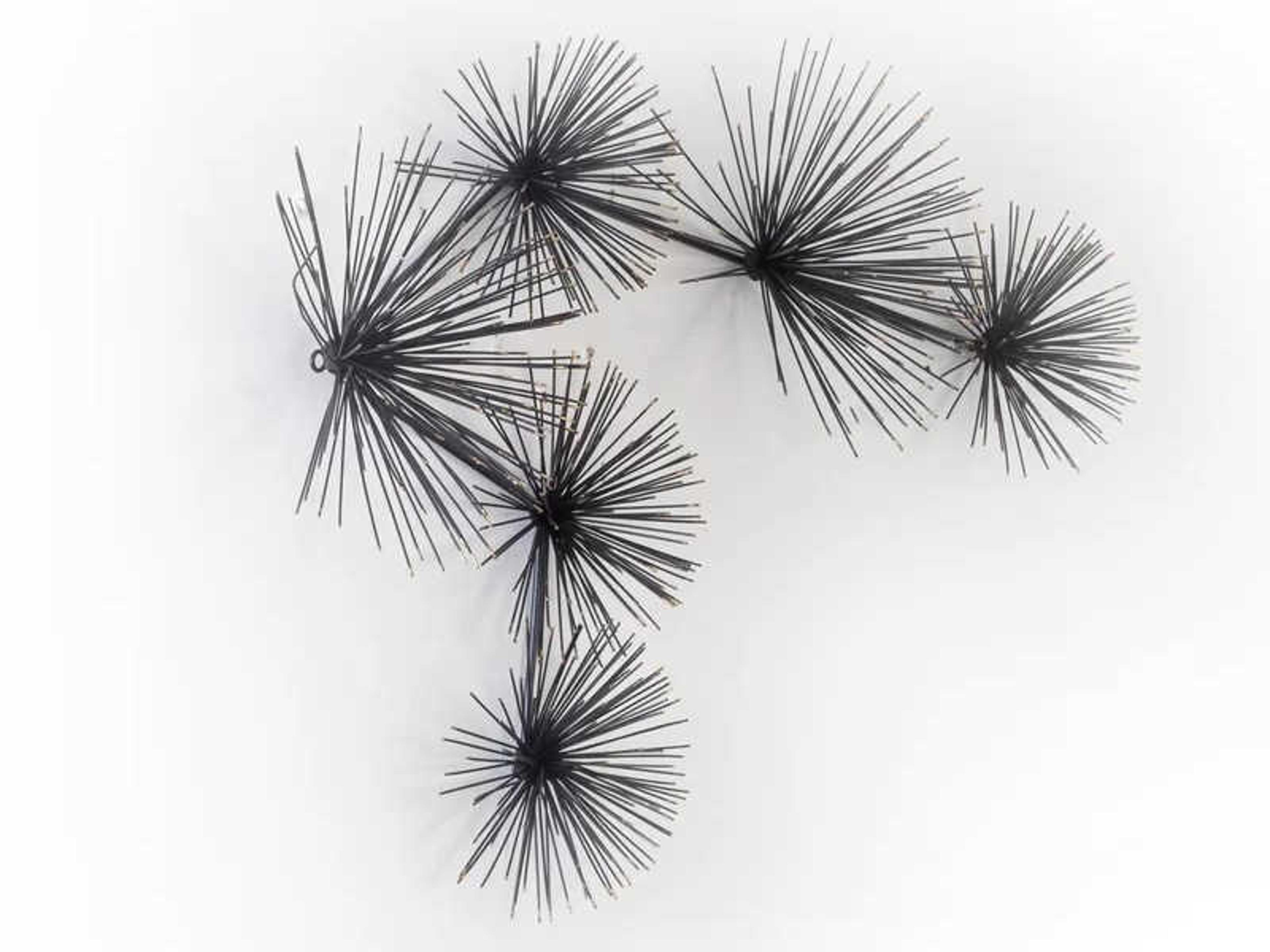 Phillips Collection Black Sea Root Wall Art