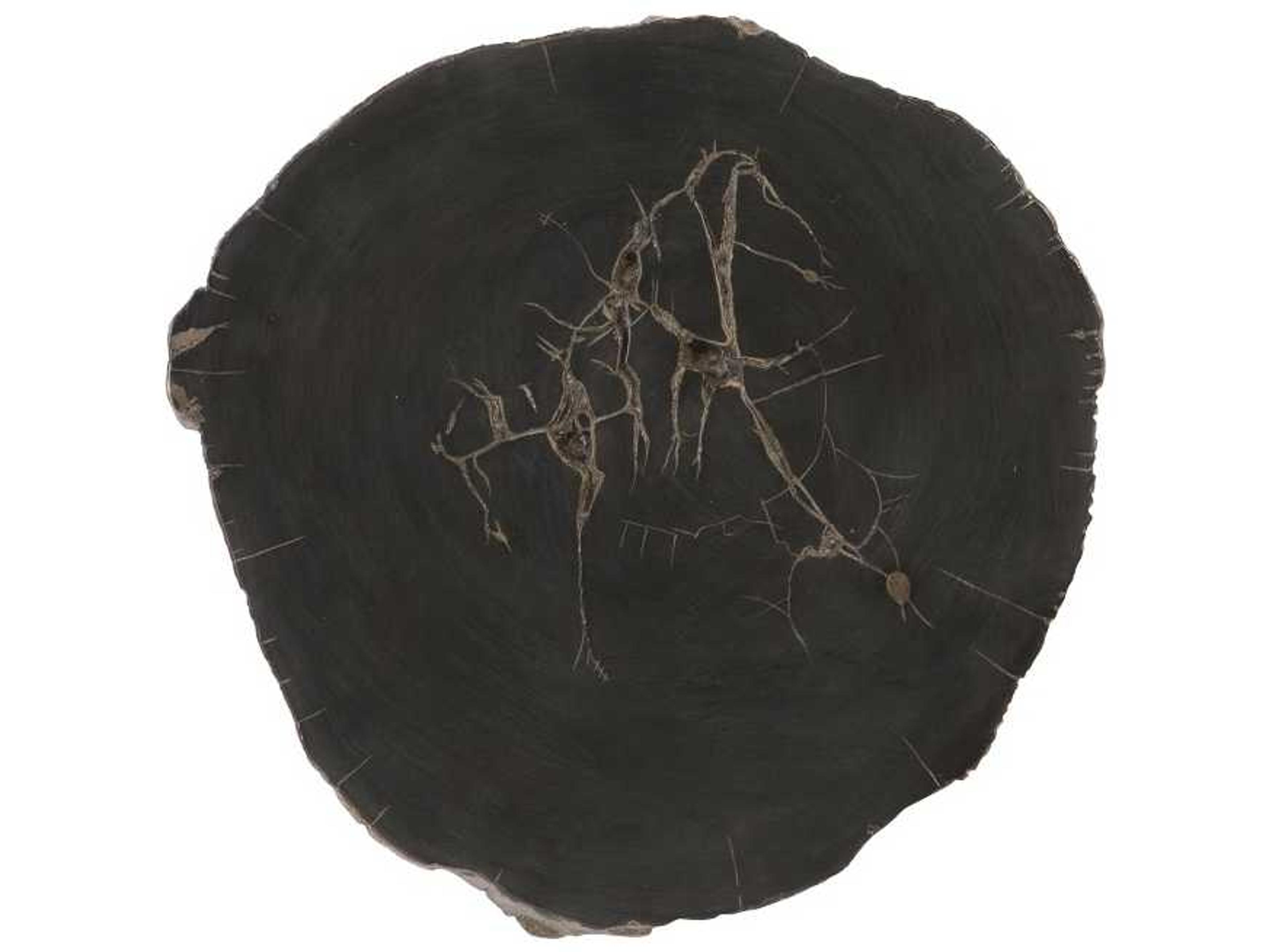 Phillips Collection Black / Brown Cast Petrified Wood Wall Tile