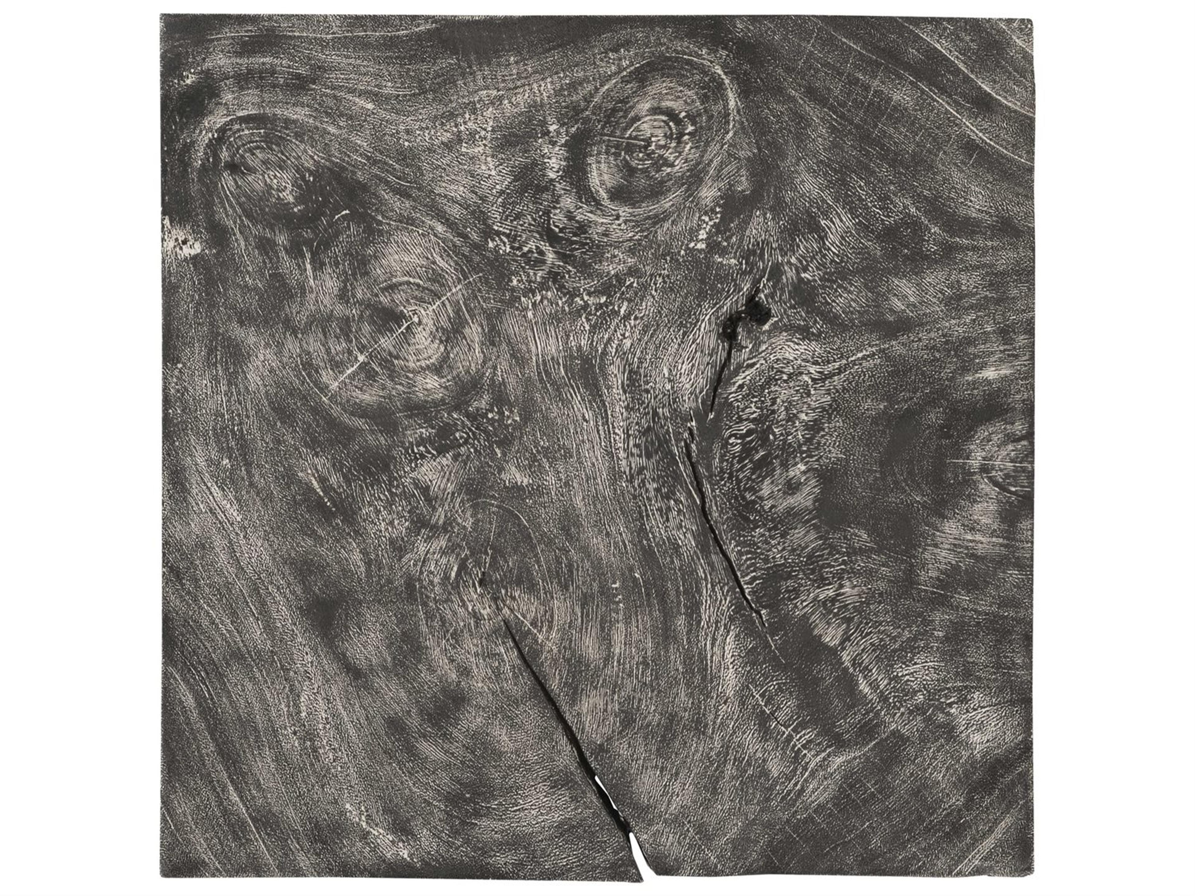 Phillips Collection Wood Wall Art