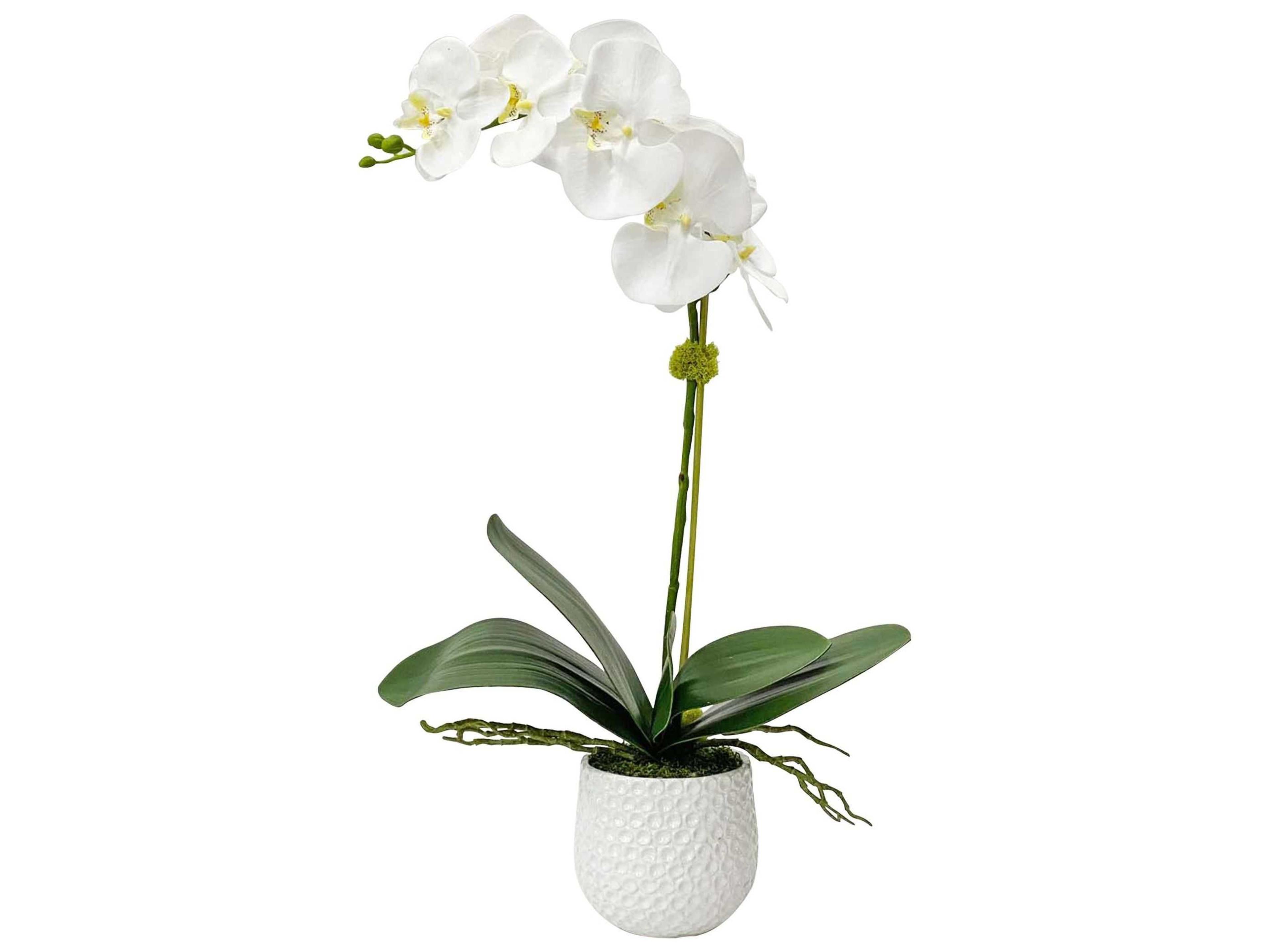 Uttermost Cami White Orchid