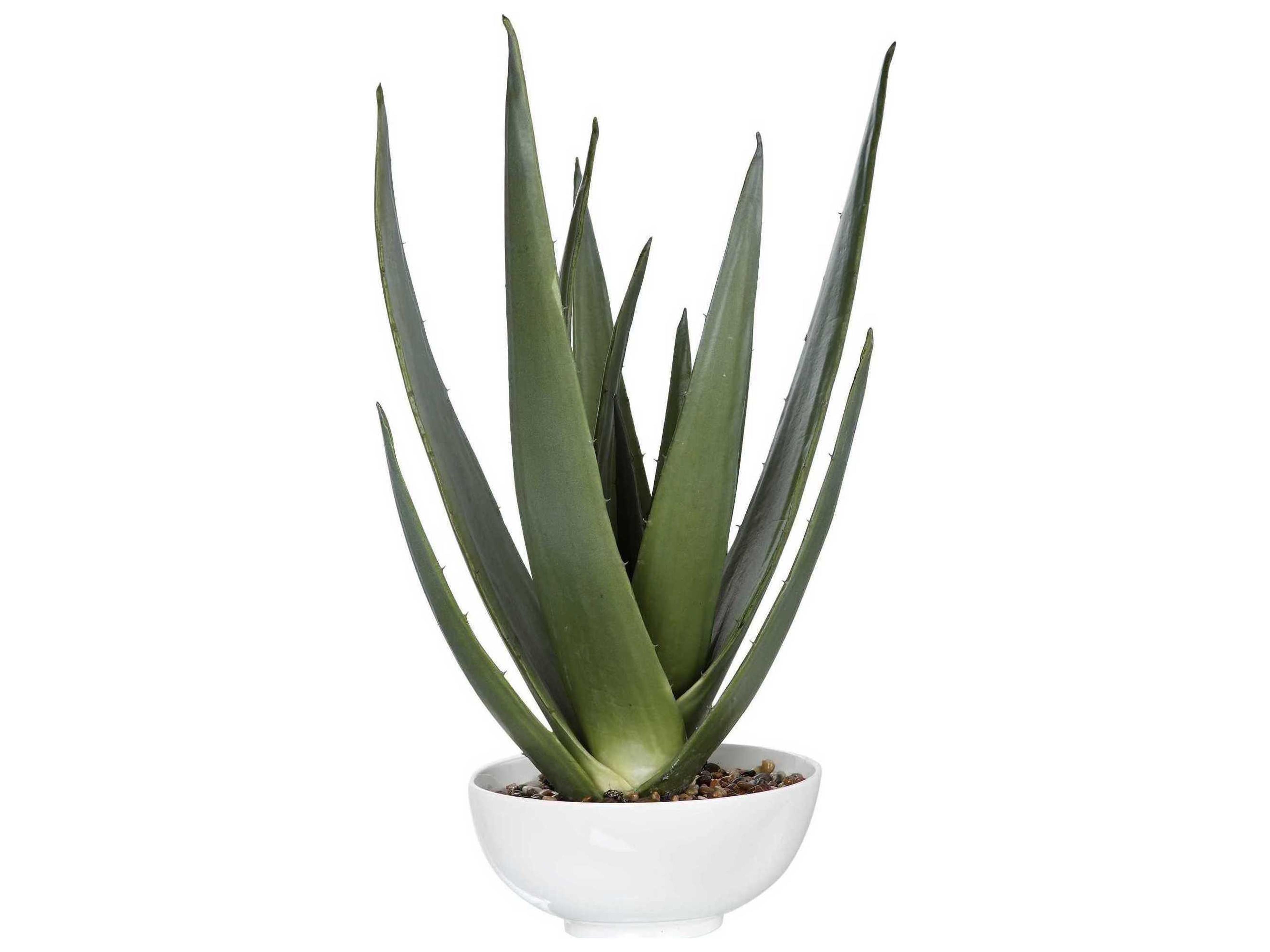 Uttermost Evarado Aloe Planter
