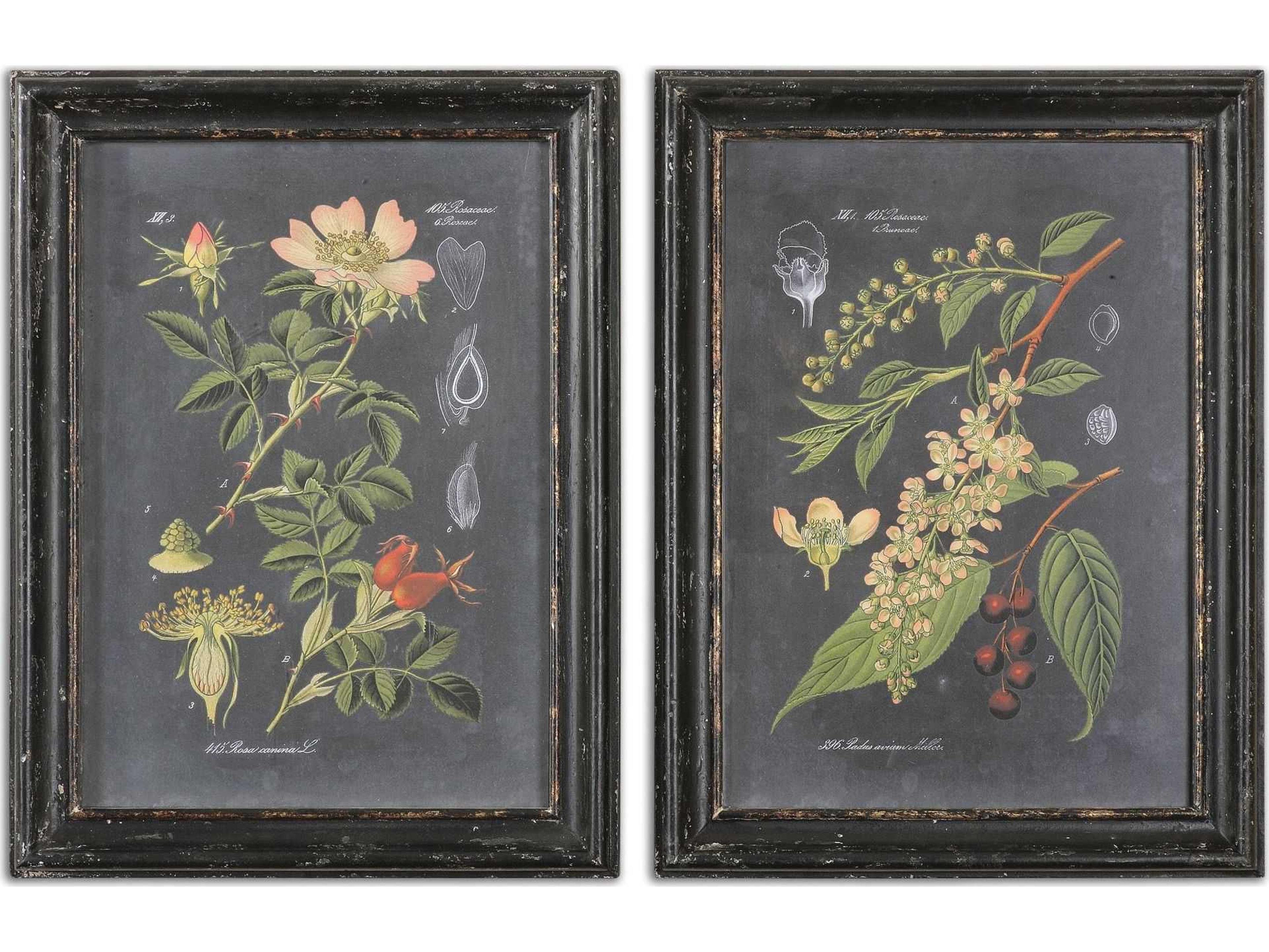 Uttermost Midnight Botanicals Wall Art Set of 2