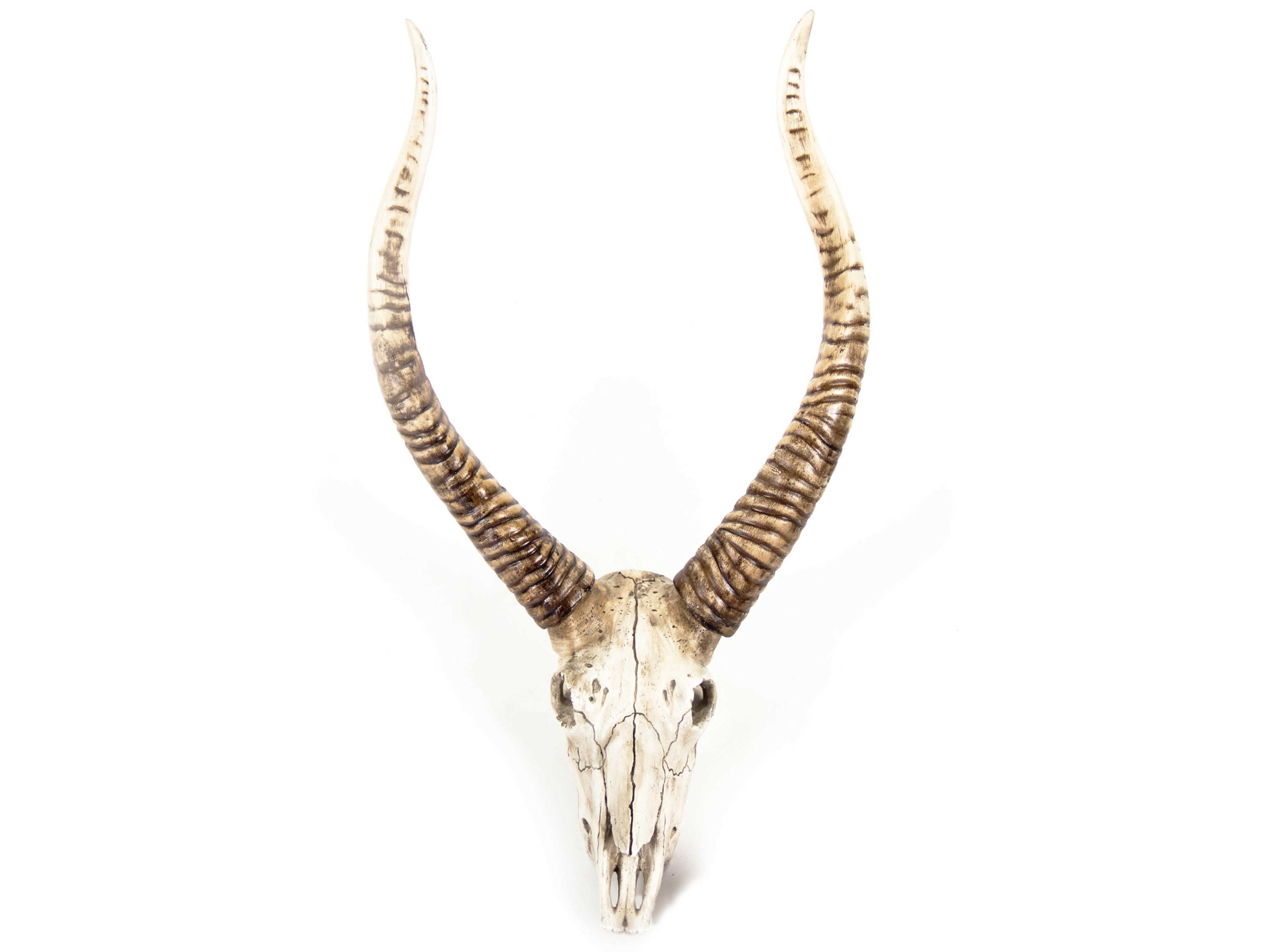 Zentique Distressed White / Brown Goat Skull 3D Wall Art
