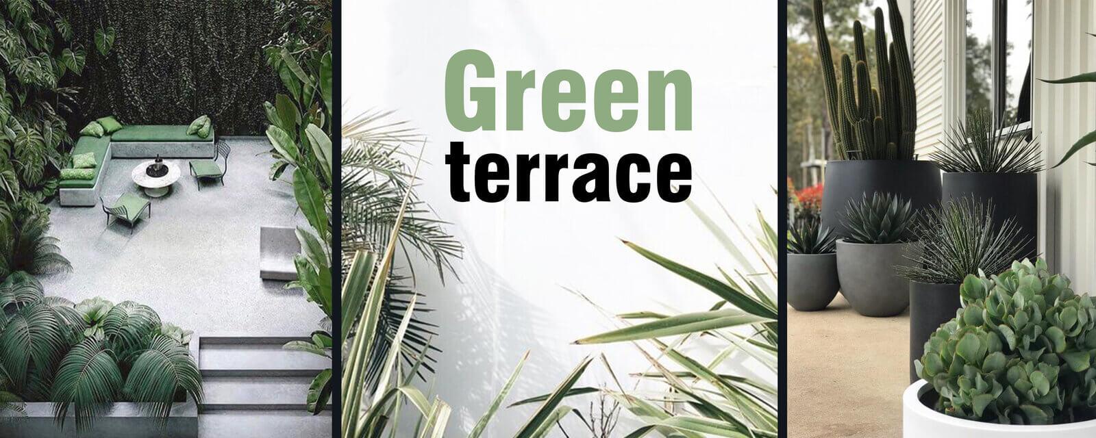 Green Terrace | PatioLiving
