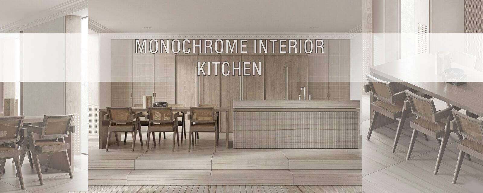 Modern Monochrome Kitchen