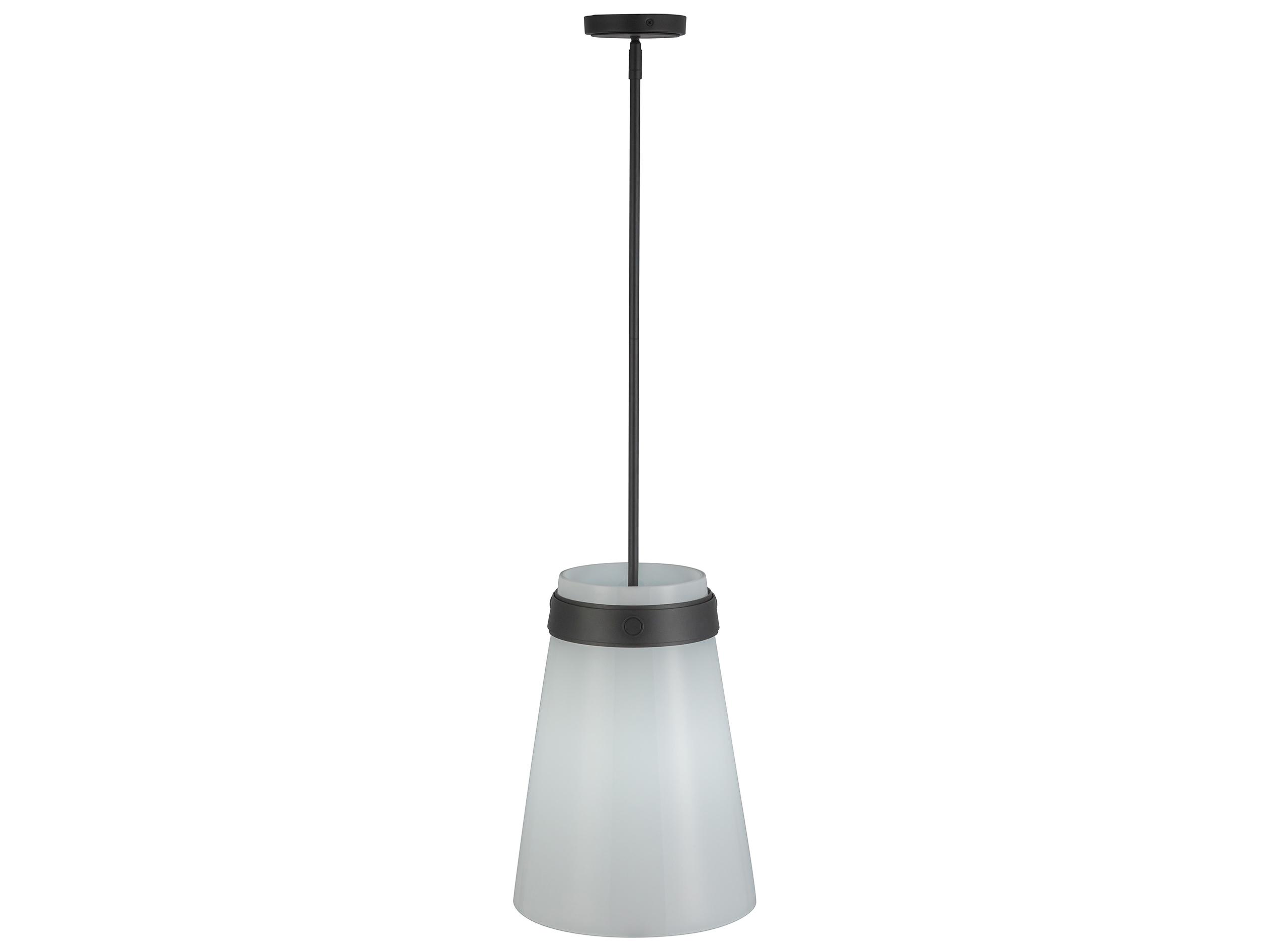 Artcraft Dahlia 1-Light Black Mini Pendant