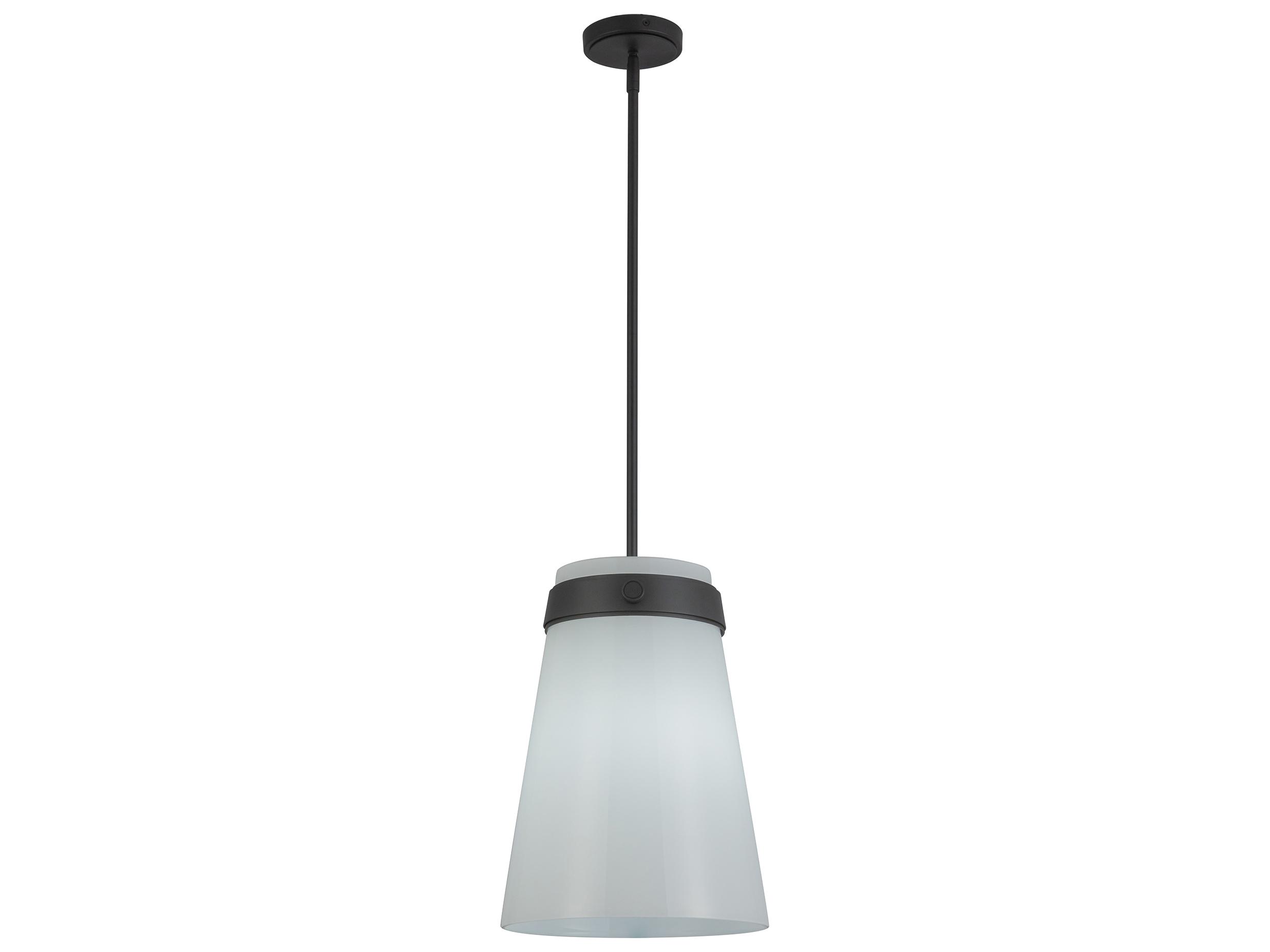 Artcraft Dahlia 1-Light Black Mini Pendant