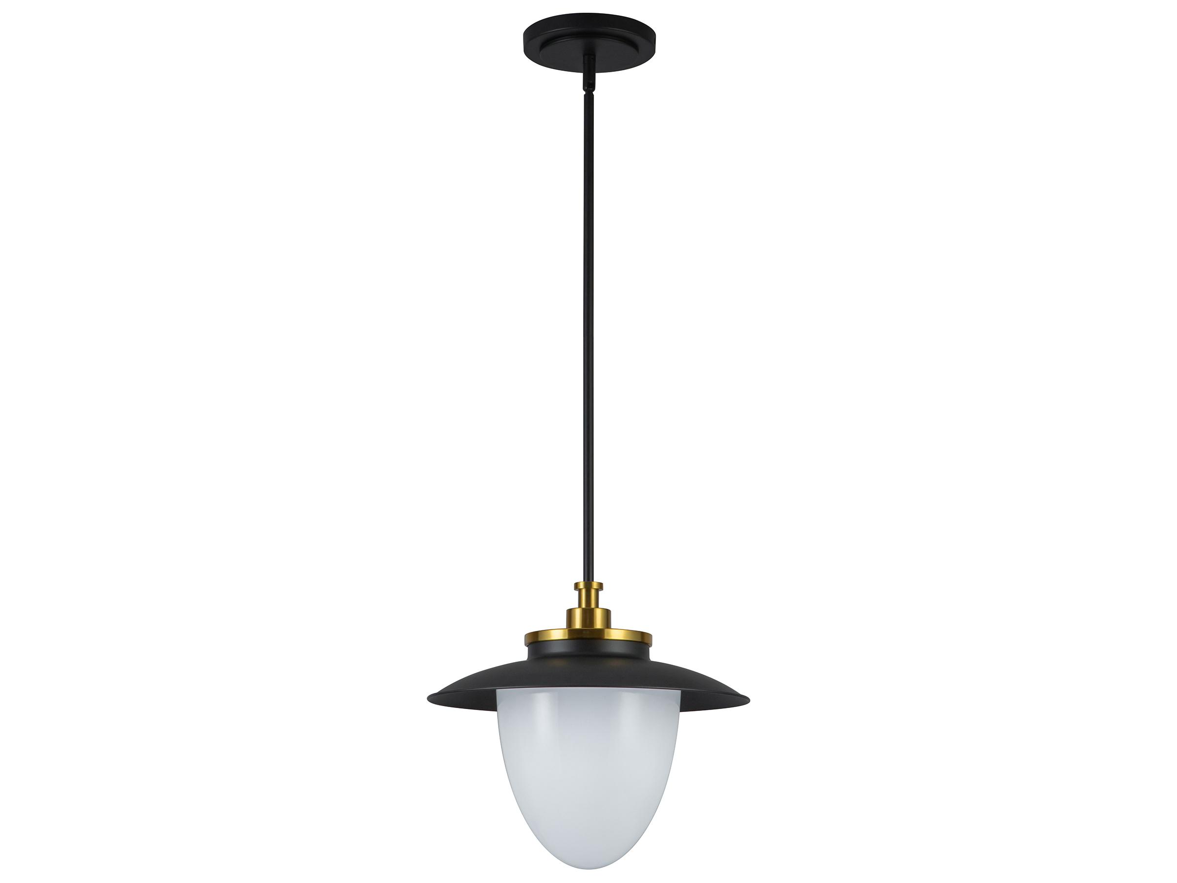Artcraft Dahlia 1-Light Black Pendant