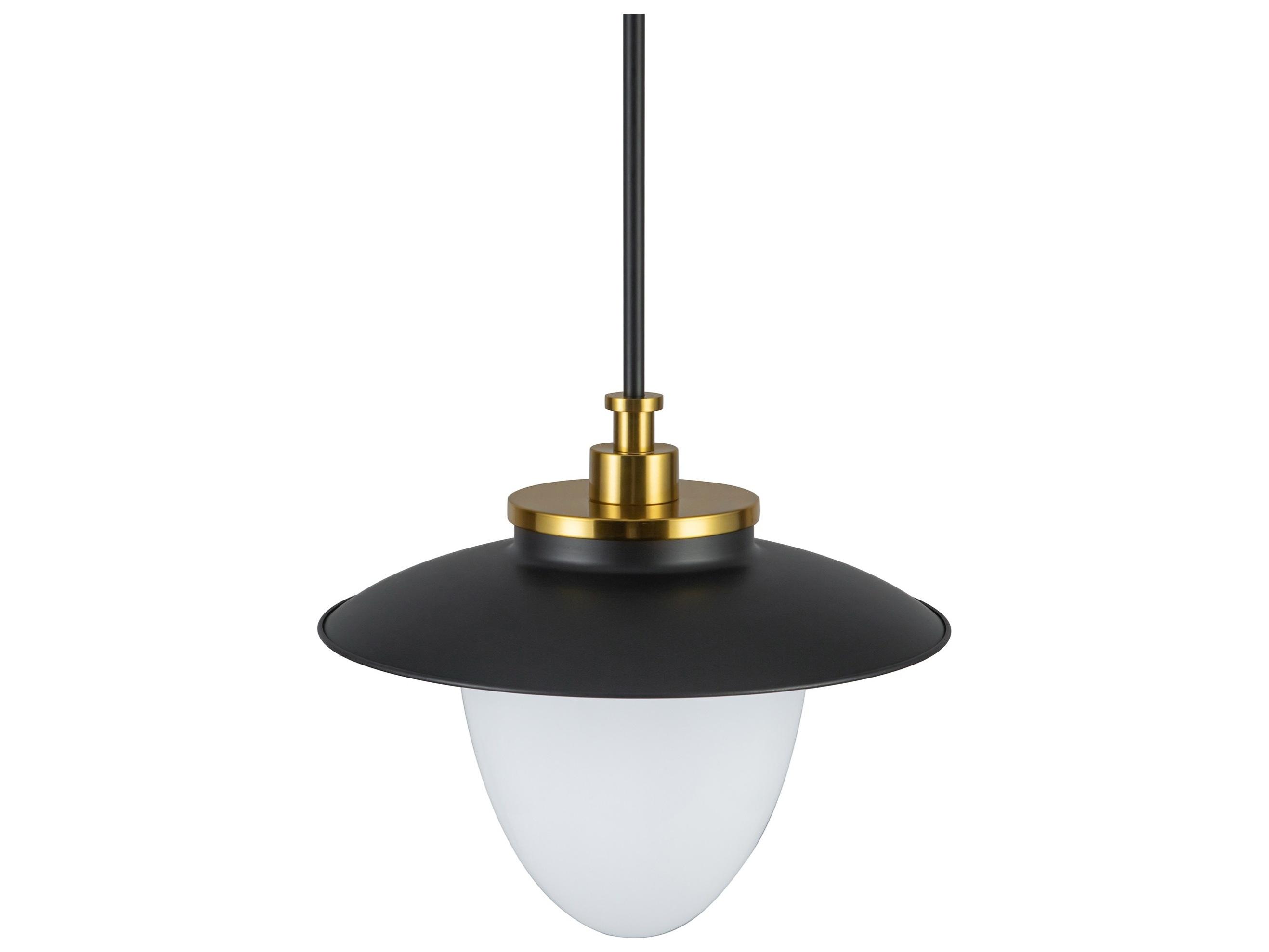 Artcraft Dahlia 1-Light Black Pendant