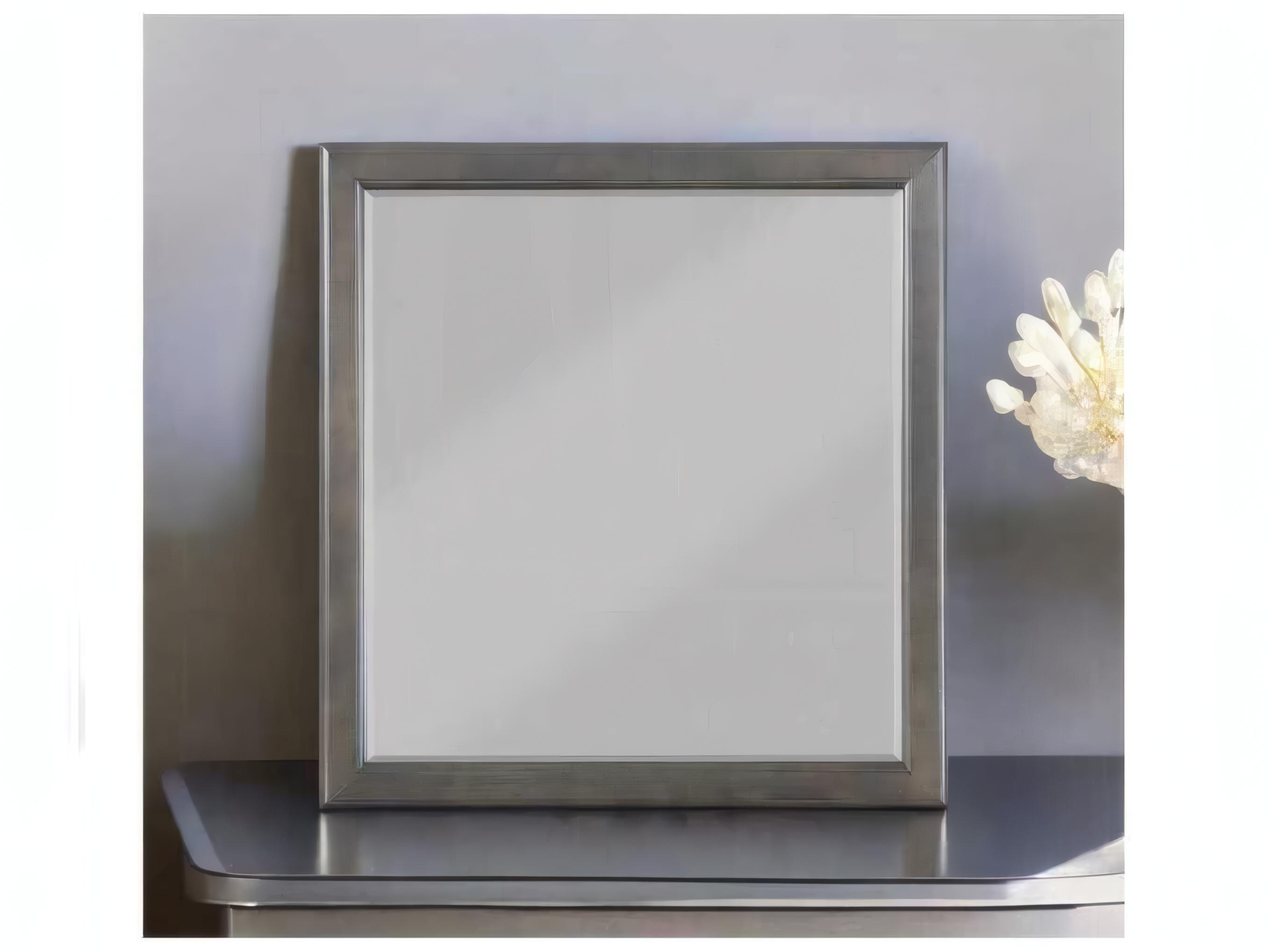 Acme Furniture Louis Philippe Dark Gray Rectangular Wall Mirror