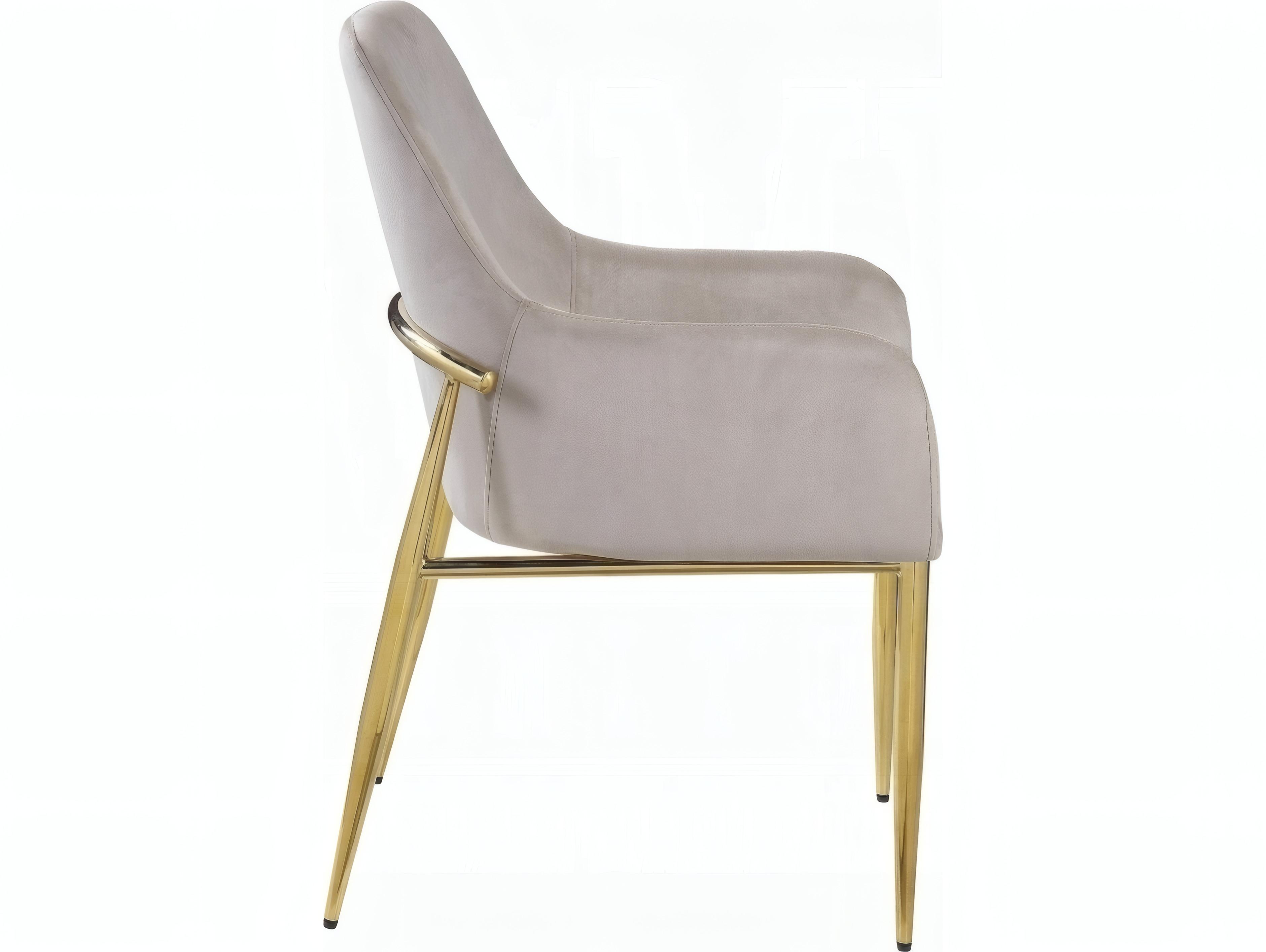 Acme Furniture Plywood Gray Velvet Upholstered Arm Dining Chair Set of 2