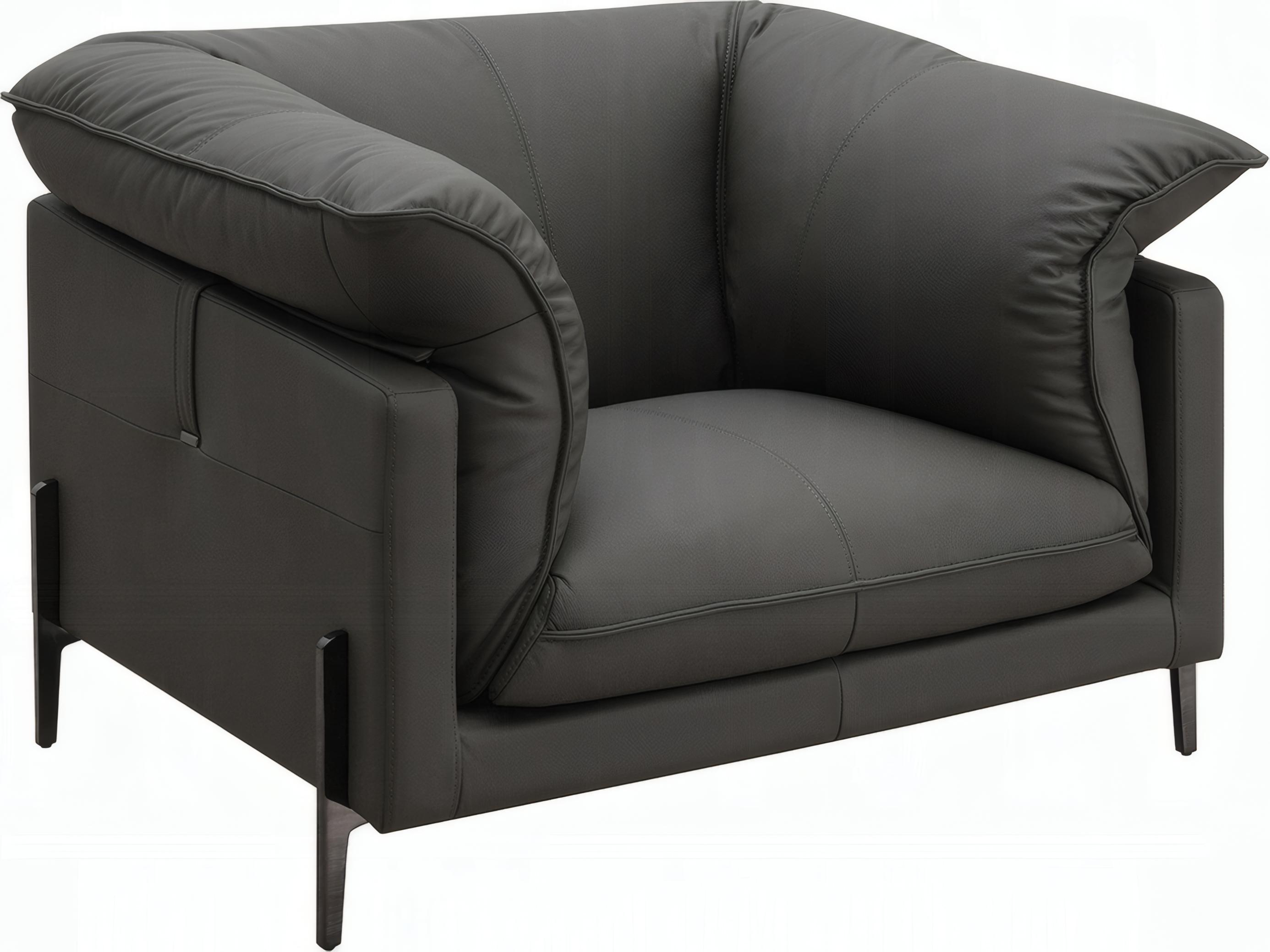 Acme Furniture Tadi Black Leather Accent Chair
