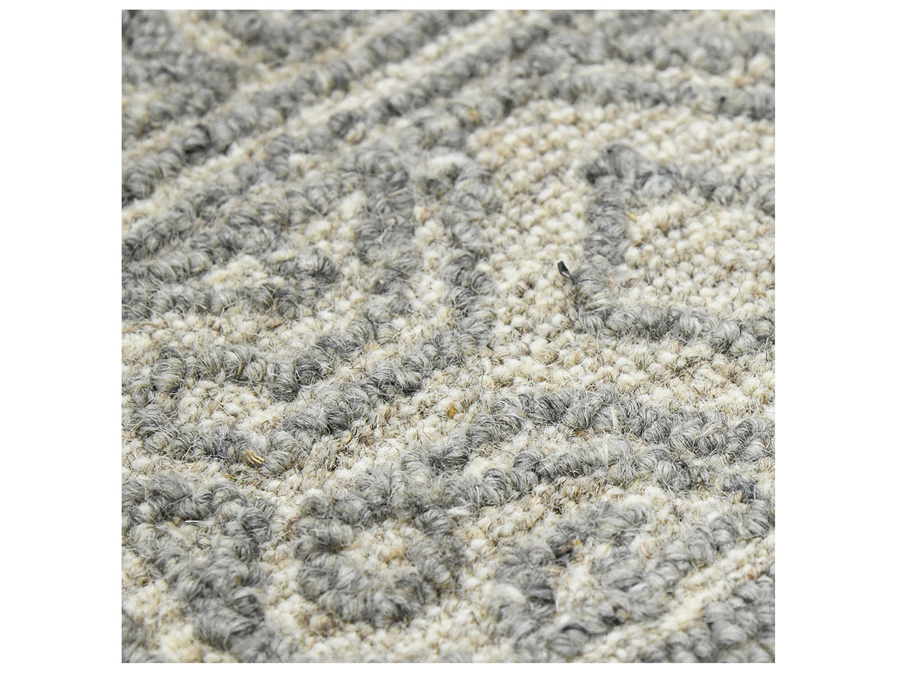 Amer Rugs Berlin Bordered Area Rug