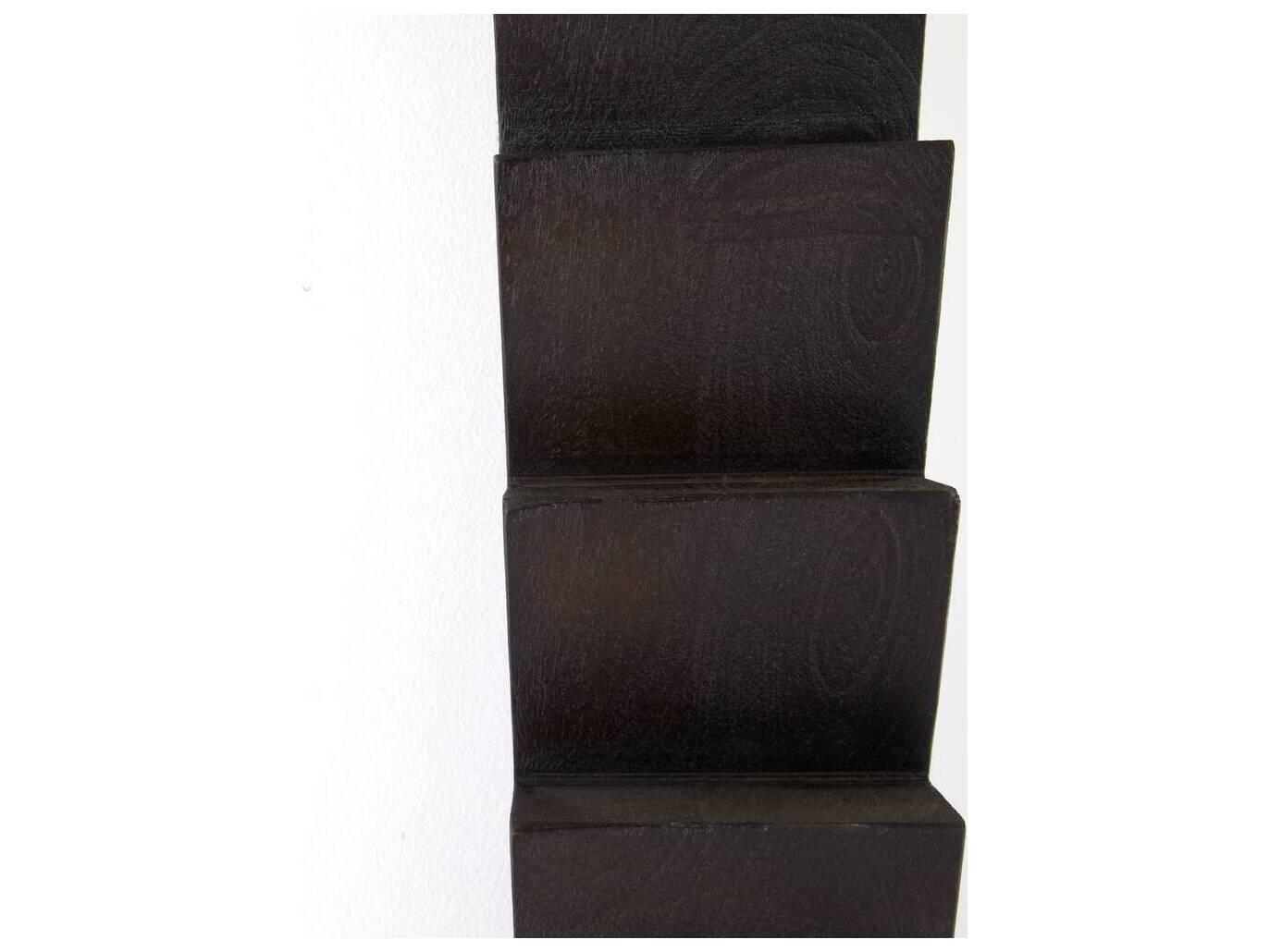 Arteriors Home Ebony Plain Floor Mirror Rectangular