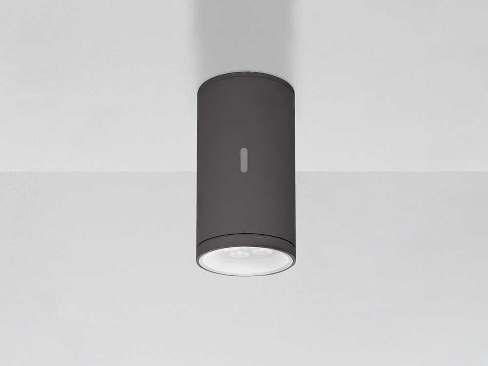 Artemide Calumet Anthracite Grey Cylinder Flush Mount