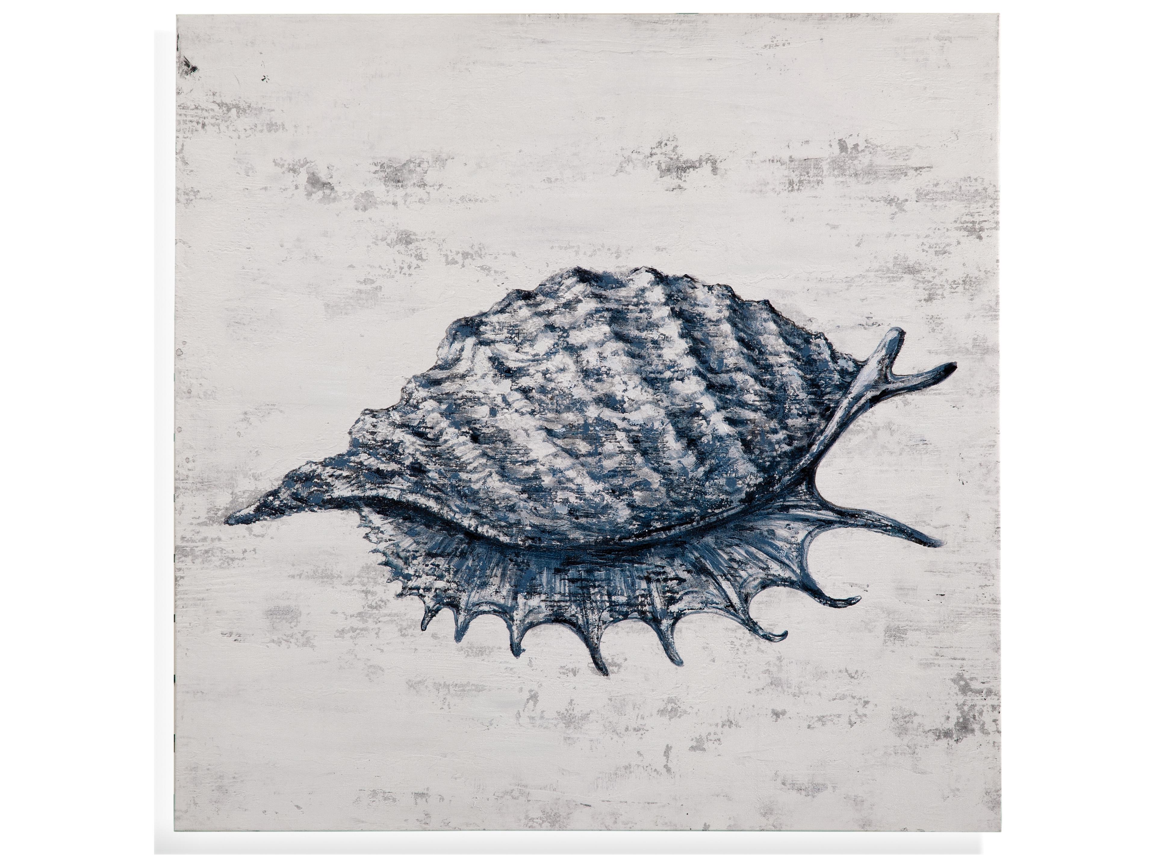 Bassett Mirror Shell-I Wall Art