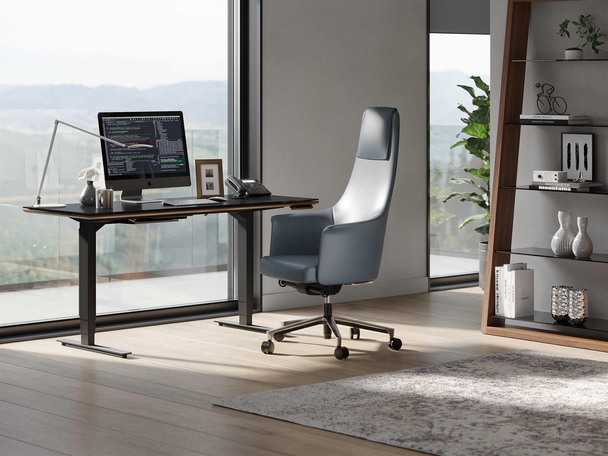 BDI Sequel-20 Home Office Set