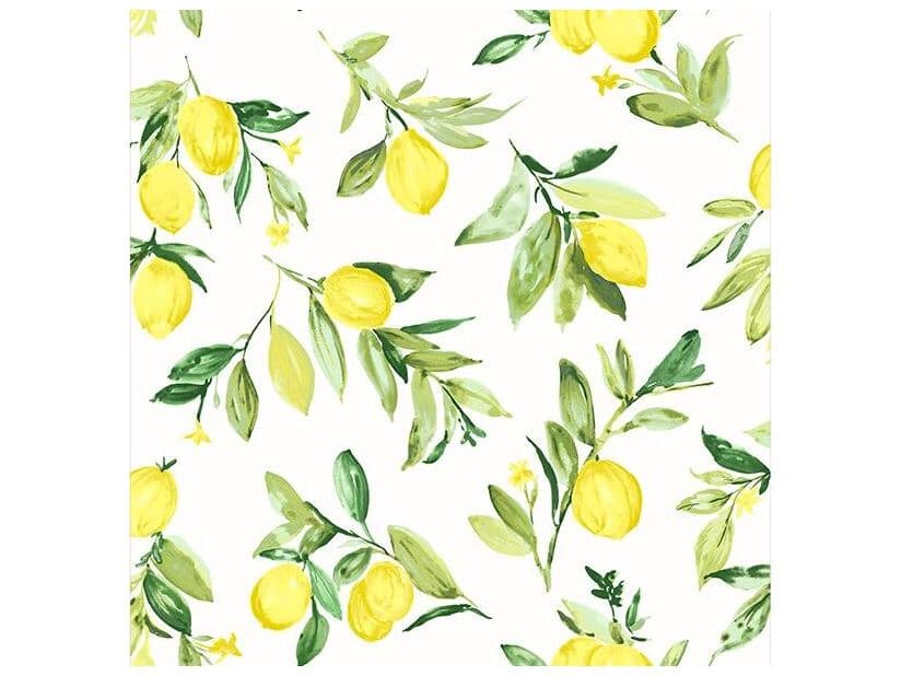 Brewster Home Fashions Fresh Start Kitchen & Bath Limon Chartreuse Fruit Wallpaper