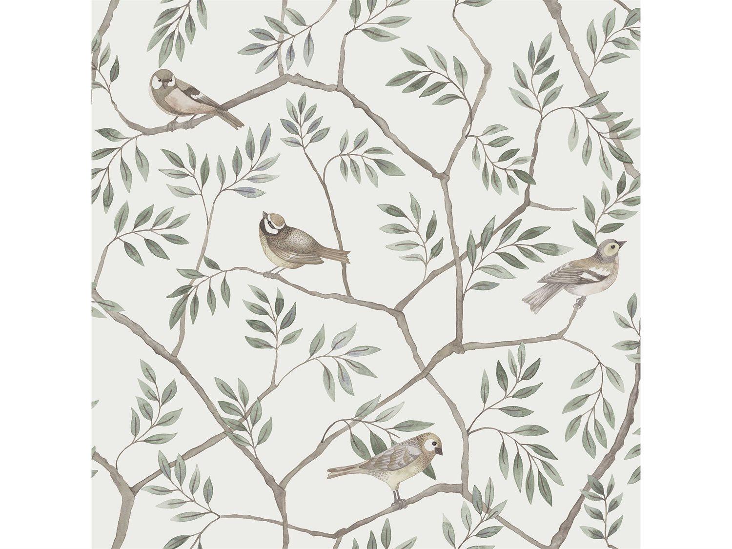 Brewster Home Fashions A-street Prints Crossbill Off-White Branches Wallpaper