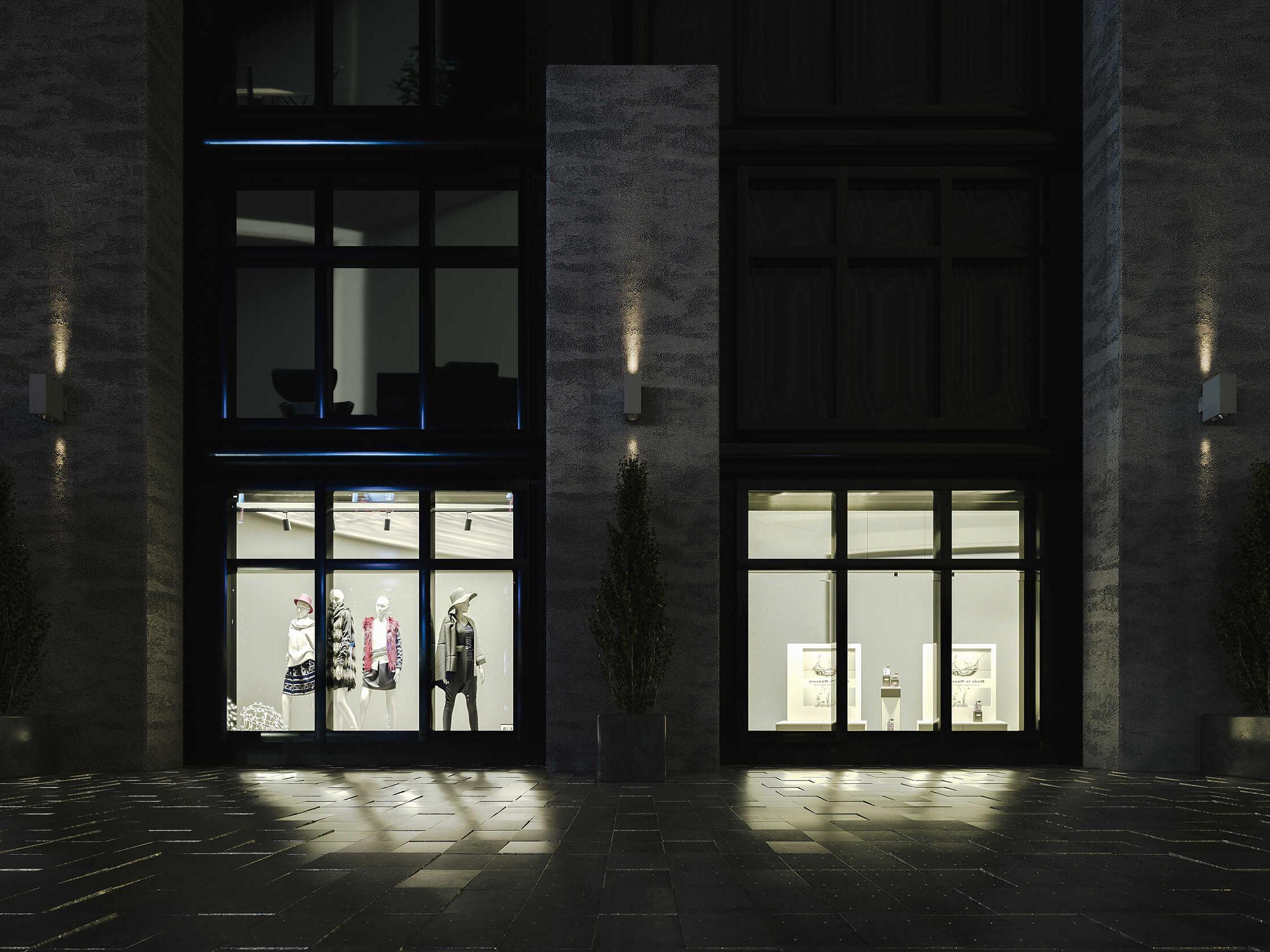 Bruck Lighting Sera 1-Light Outdoor Wall Light