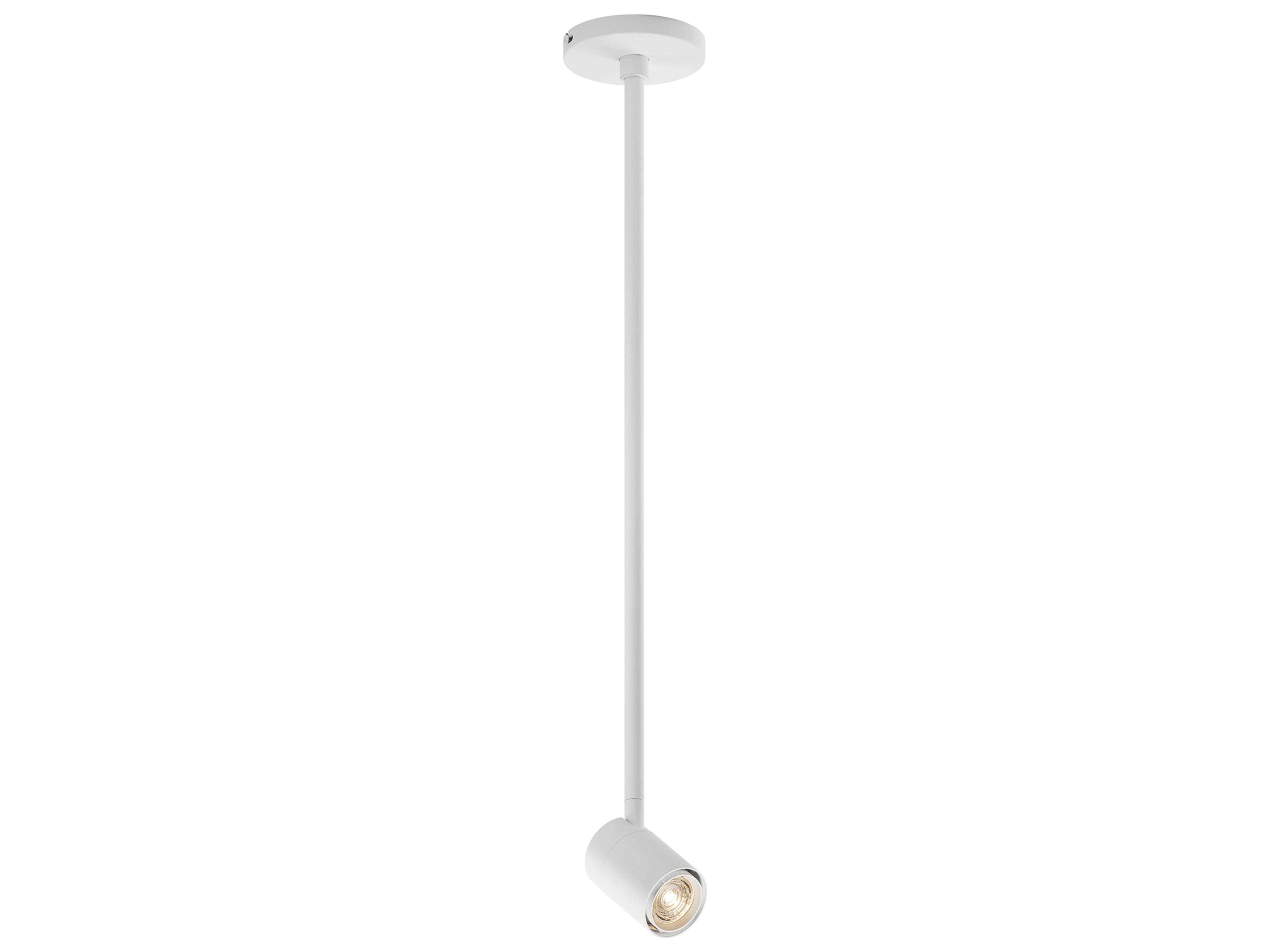 Bruck Lighting GX10 1-Light Cylinder Spot Light