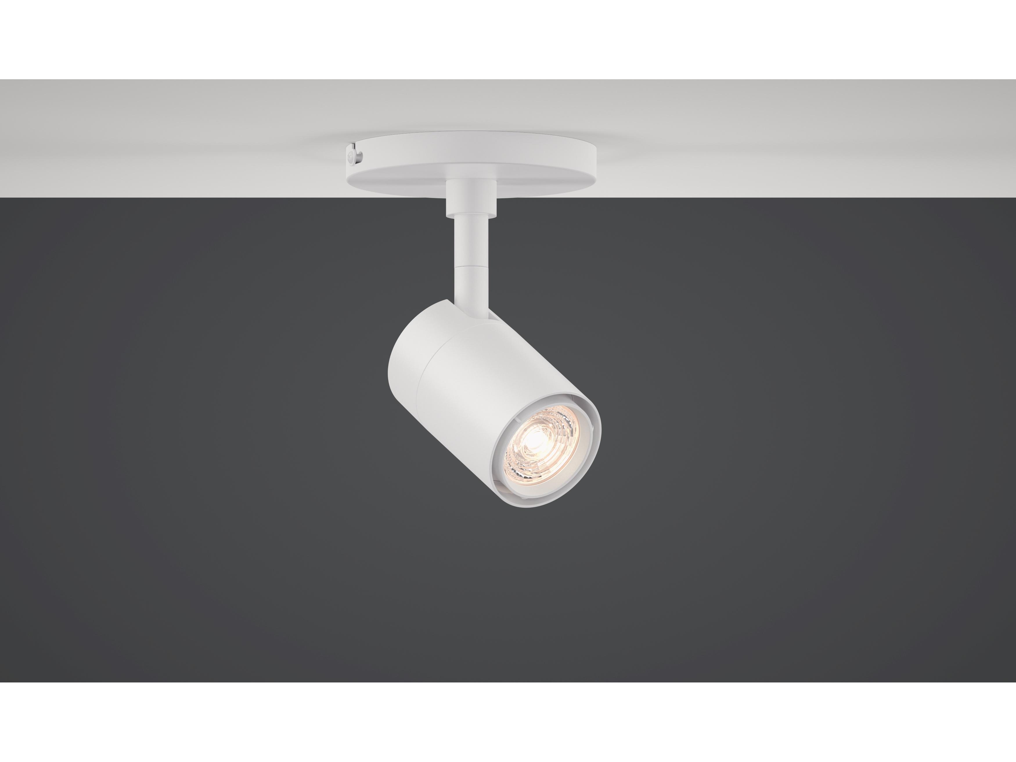 Bruck Lighting GX10 1-Light Cylinder Spot Light