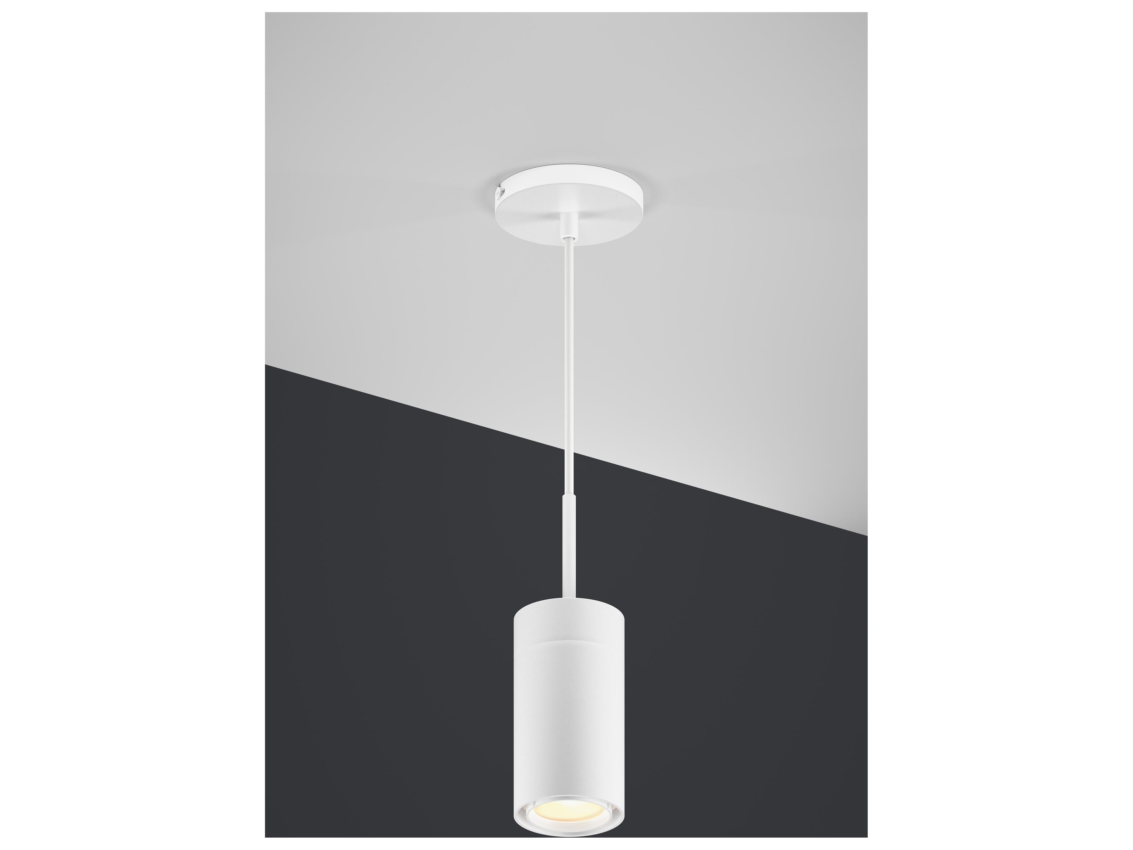 Bruck Lighting GX25 1-Light Cylinder Mini Pendant