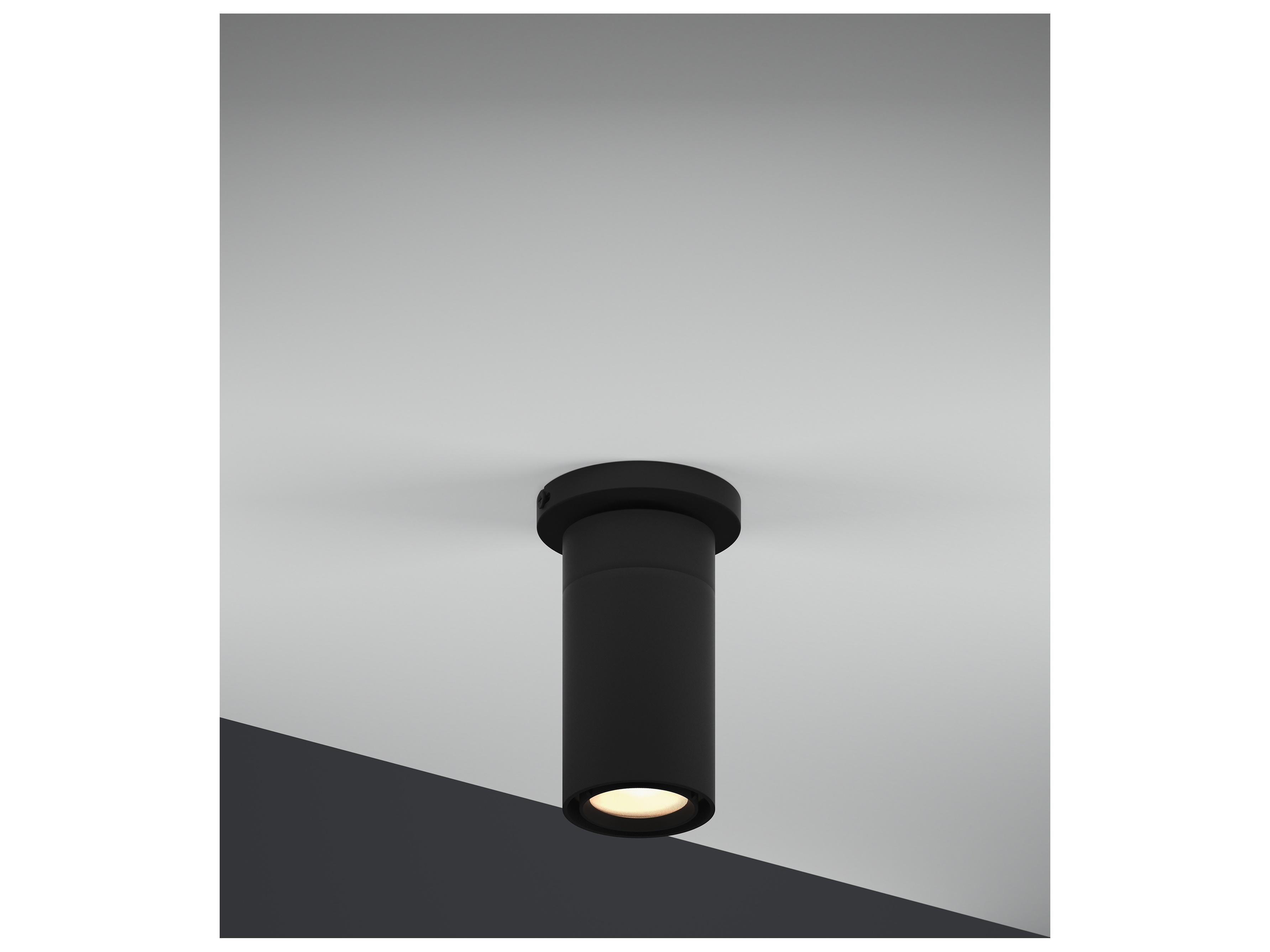 Bruck Lighting GX25 1-Light Cylinder Flush Mount