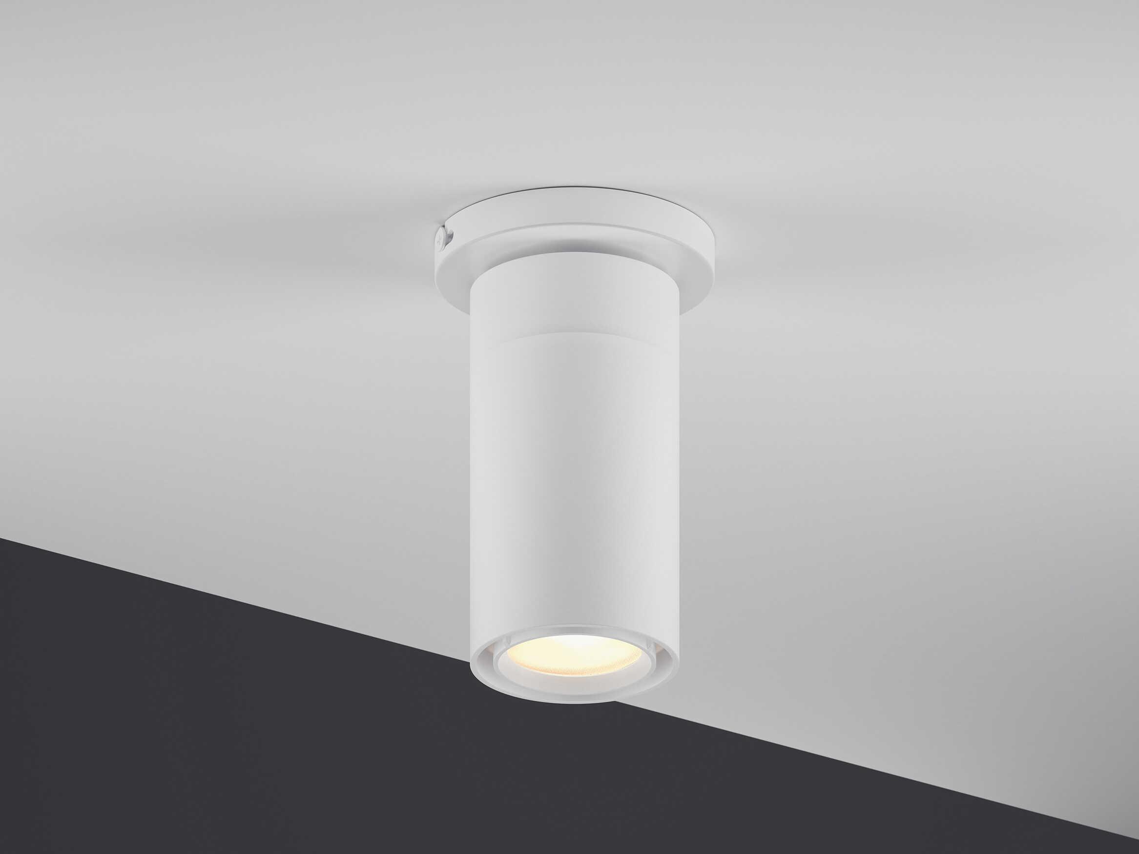 Bruck Lighting GX25 1-Light Cylinder Flush Mount