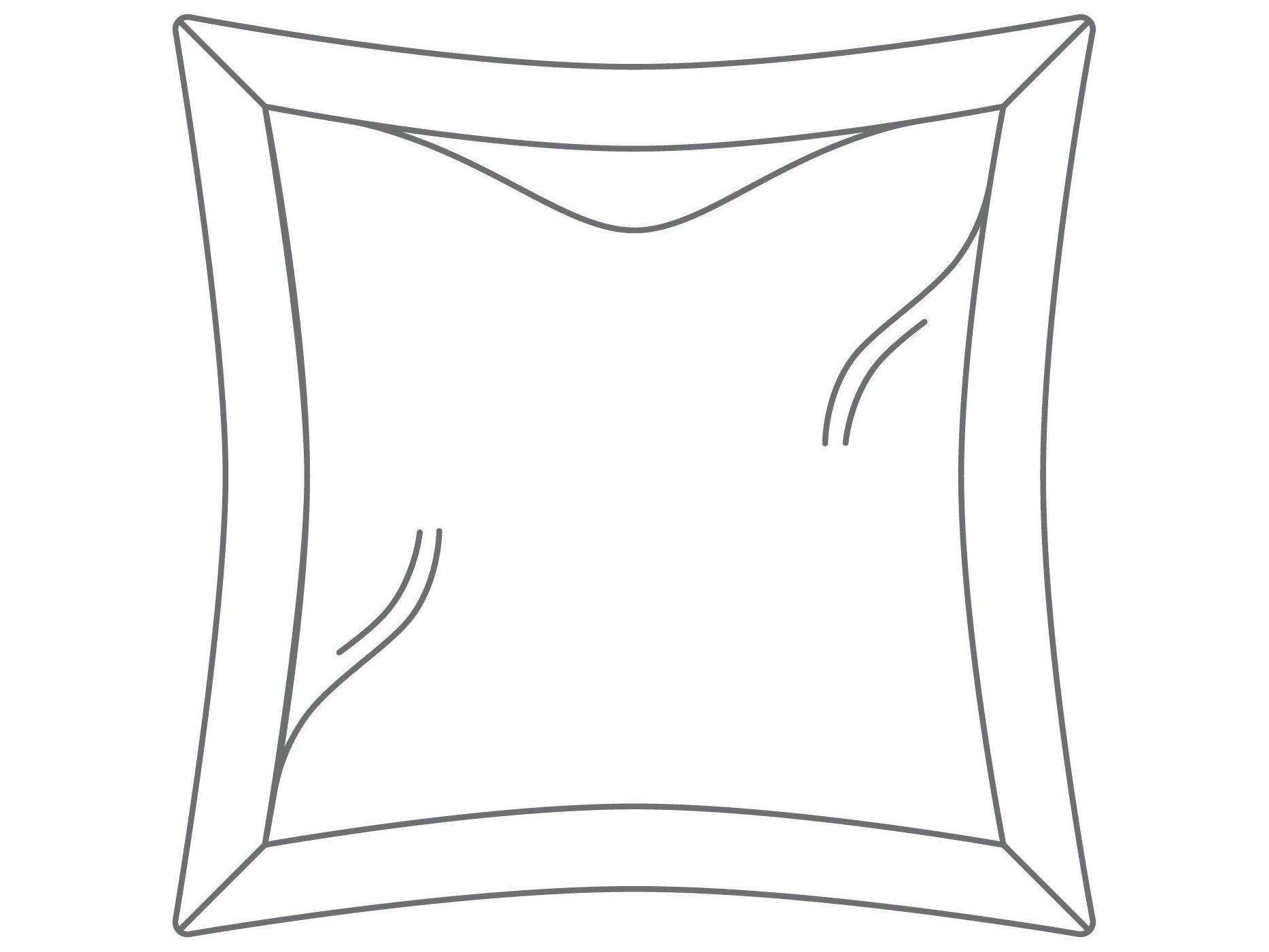 Berlin Gardens Lily Hive 24" x 24" Flanged Down Feather Throw Pillow