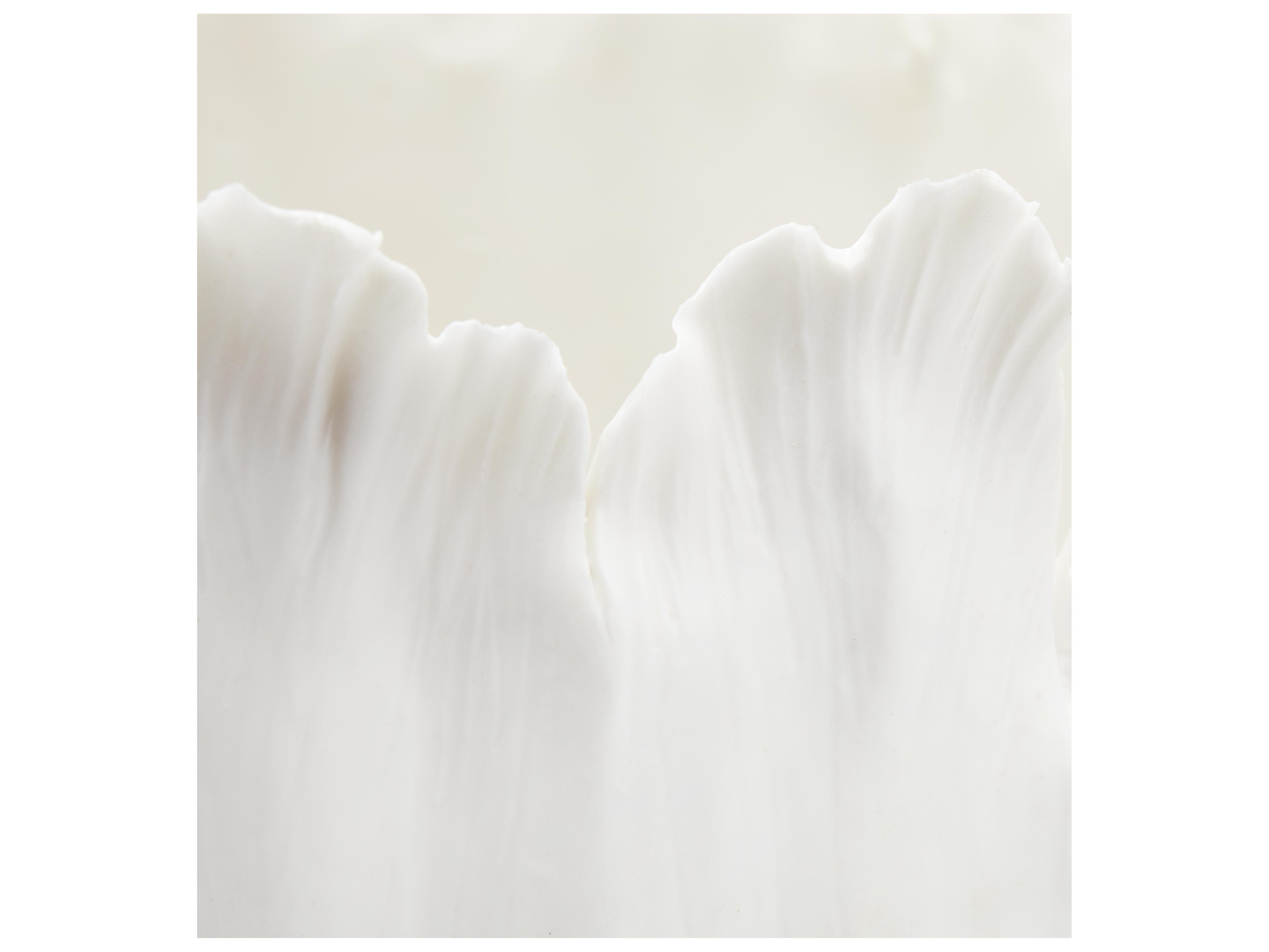 Villa & House Blanc De Tulip Vase