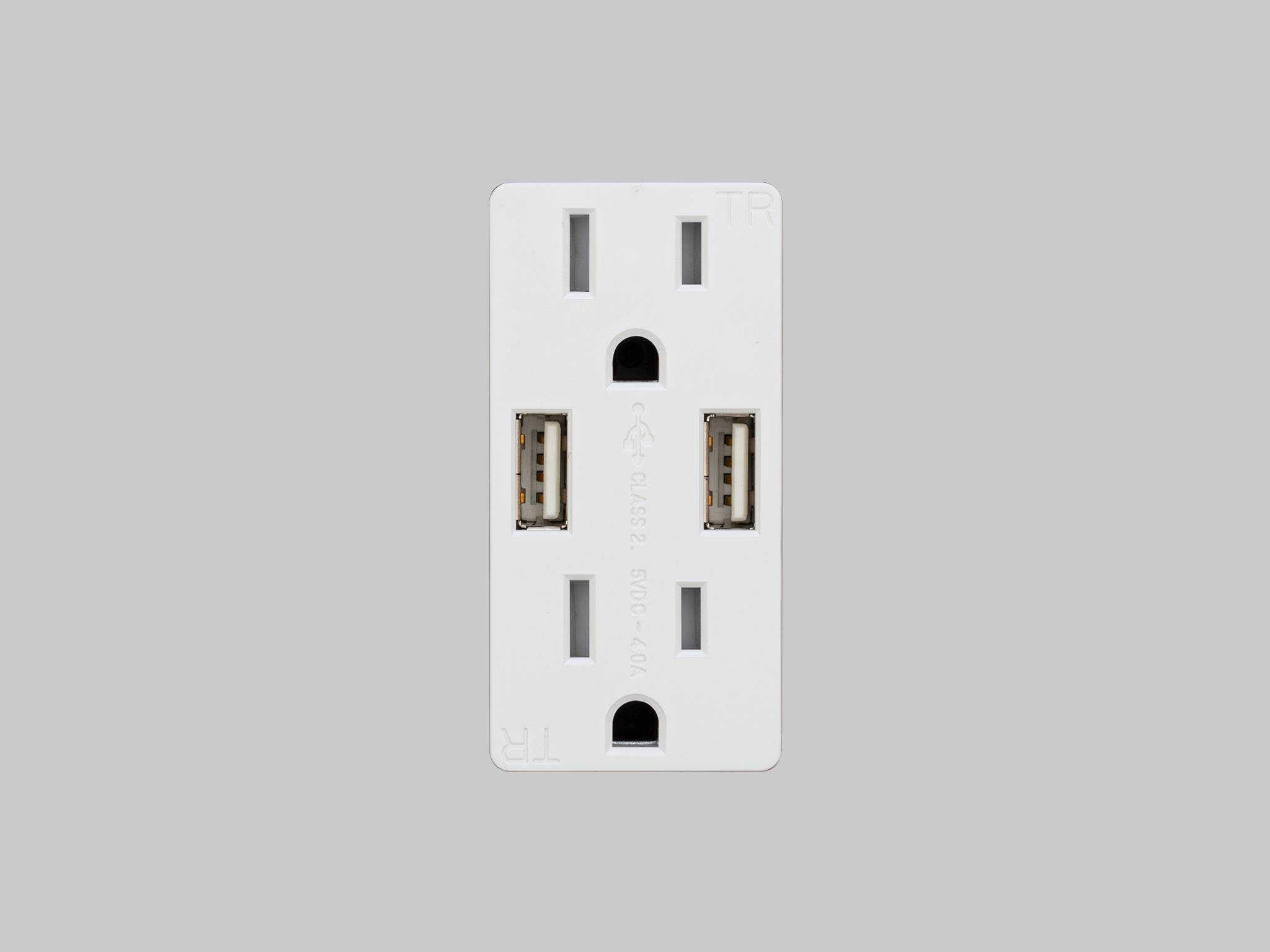 Buster + Punch White Duplex and 2 USB-A Outlet Module