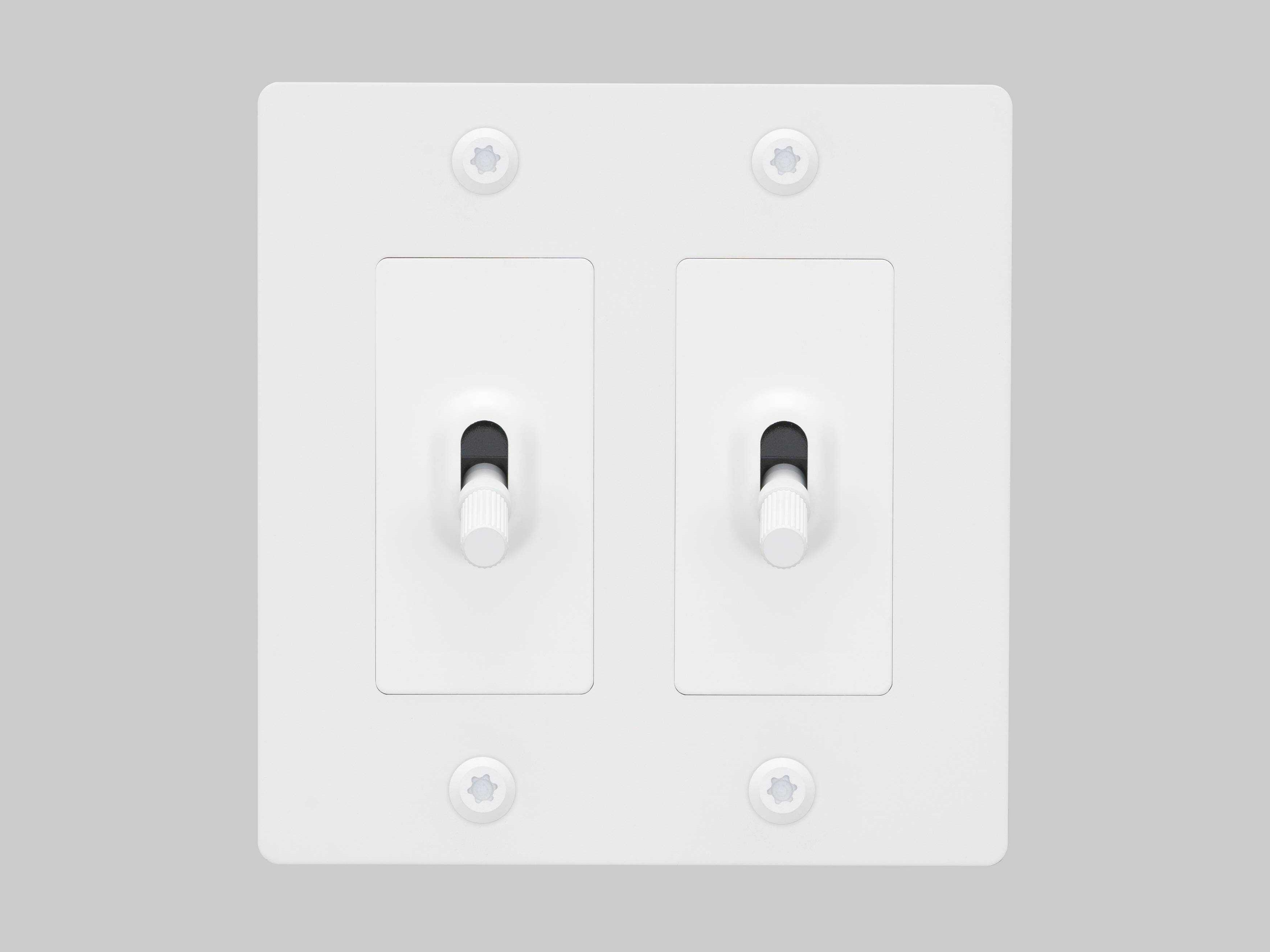 Buster + Punch 2G White Linear Toggle