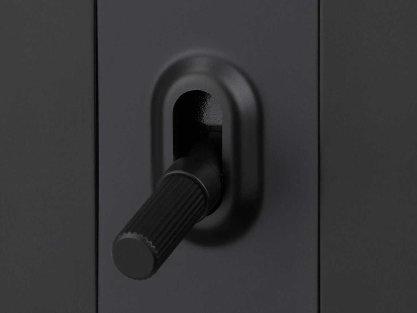 Buster + Punch Black Linear Toggle Detail Kit