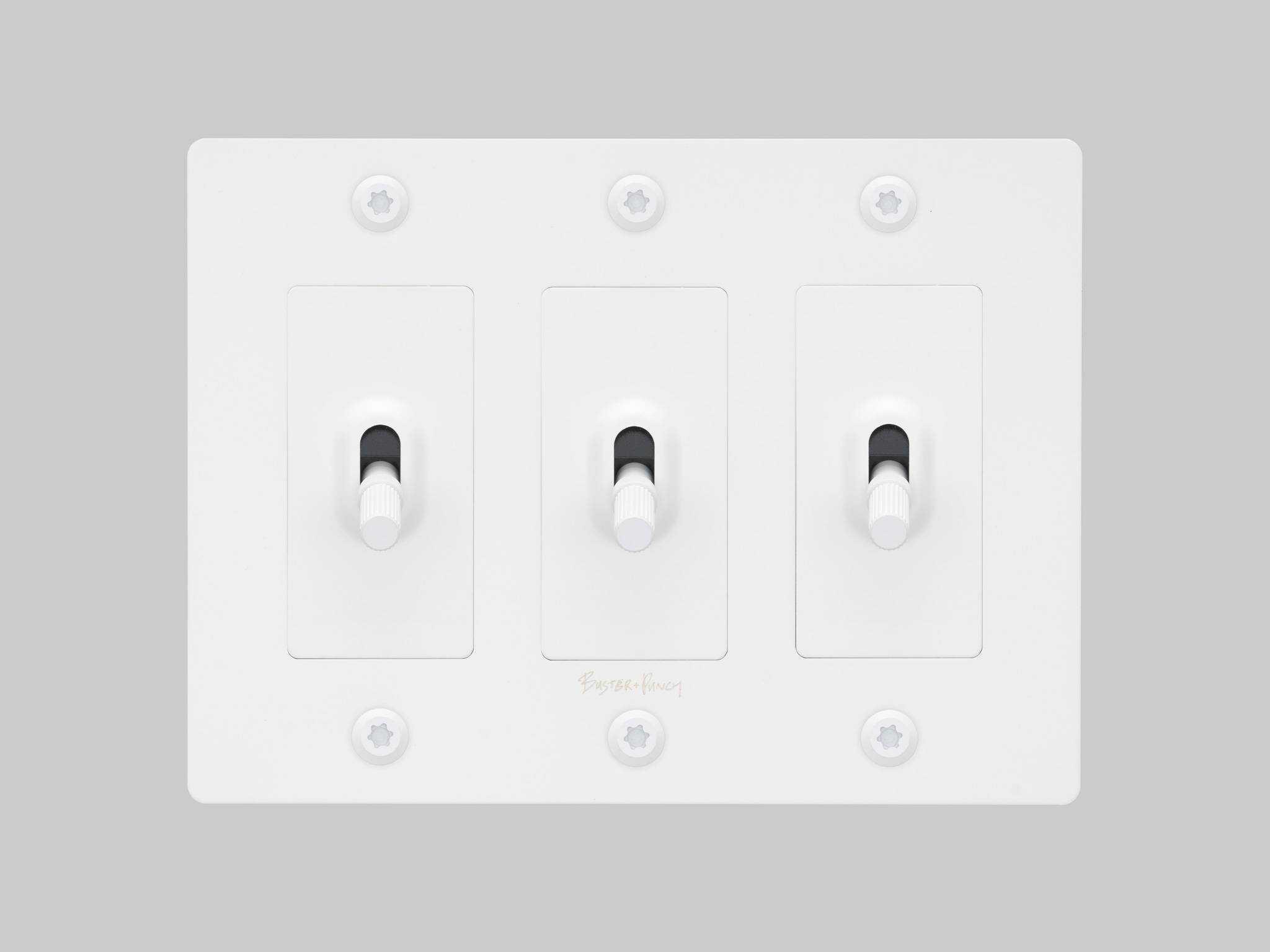 Buster + Punch 3G White Linear Toggle