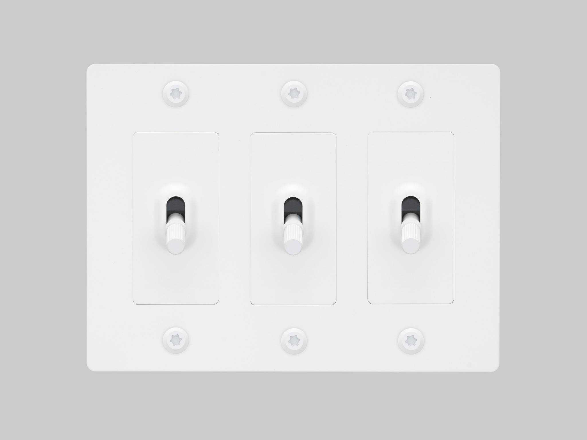 Buster + Punch 3G White Linear Toggle