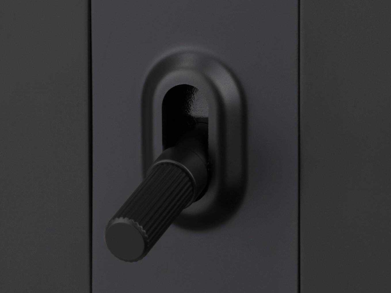 Buster + Punch 4G Black Linear Toggle