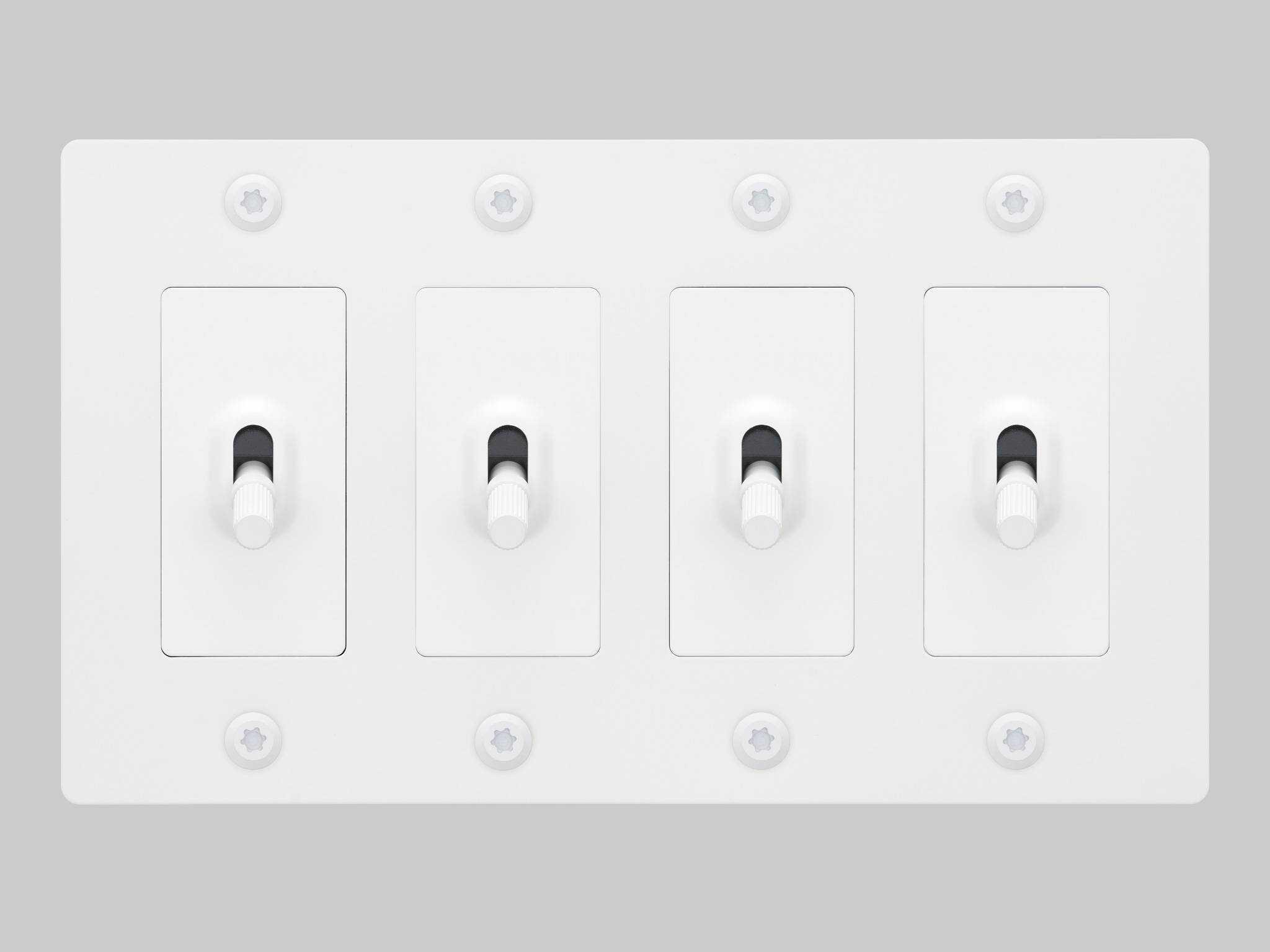 Buster + Punch 4G White Linear Toggle