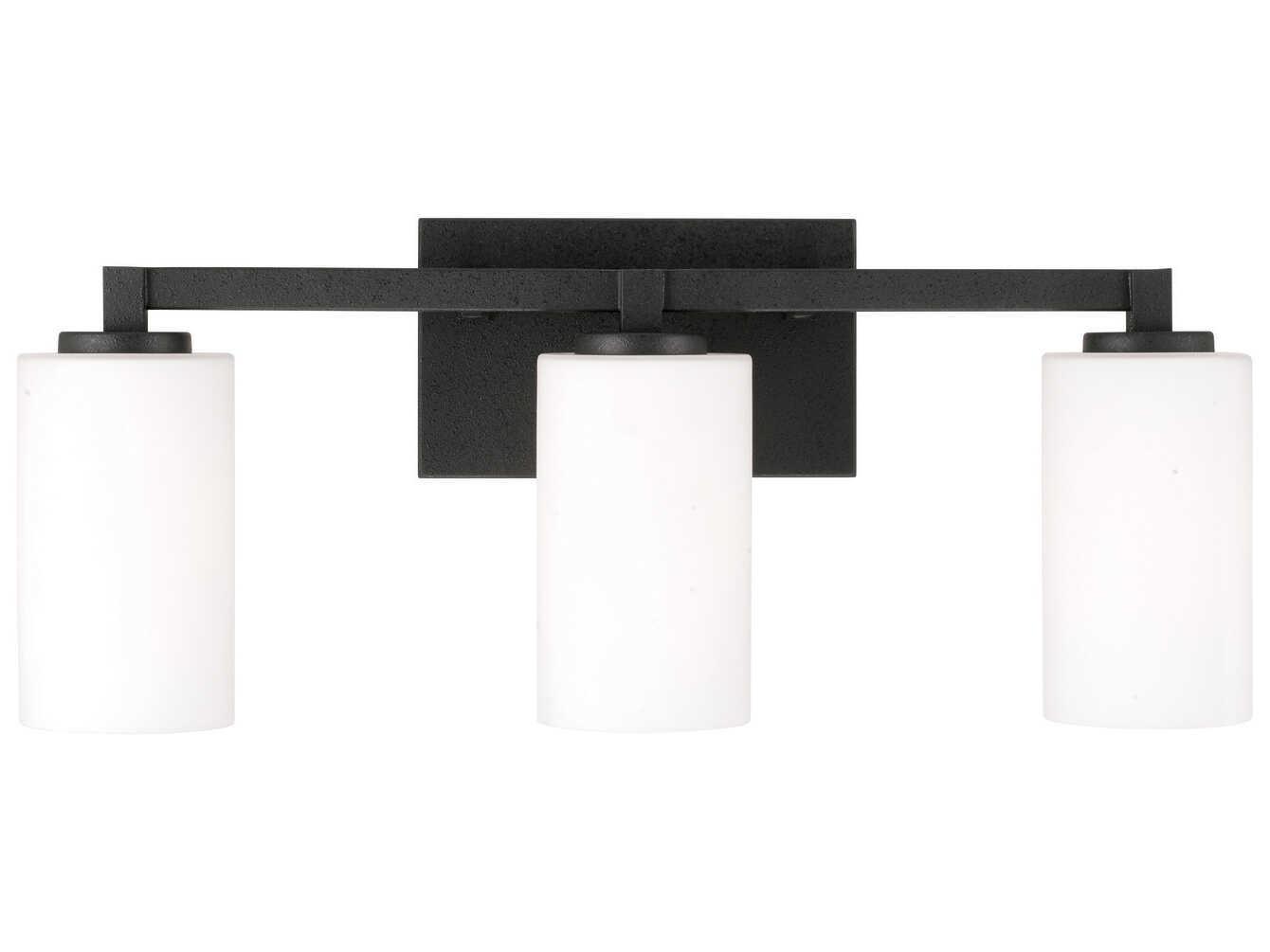 Capital Lighting Ravenwood 3-Light Black Iron Glass Vanity Light