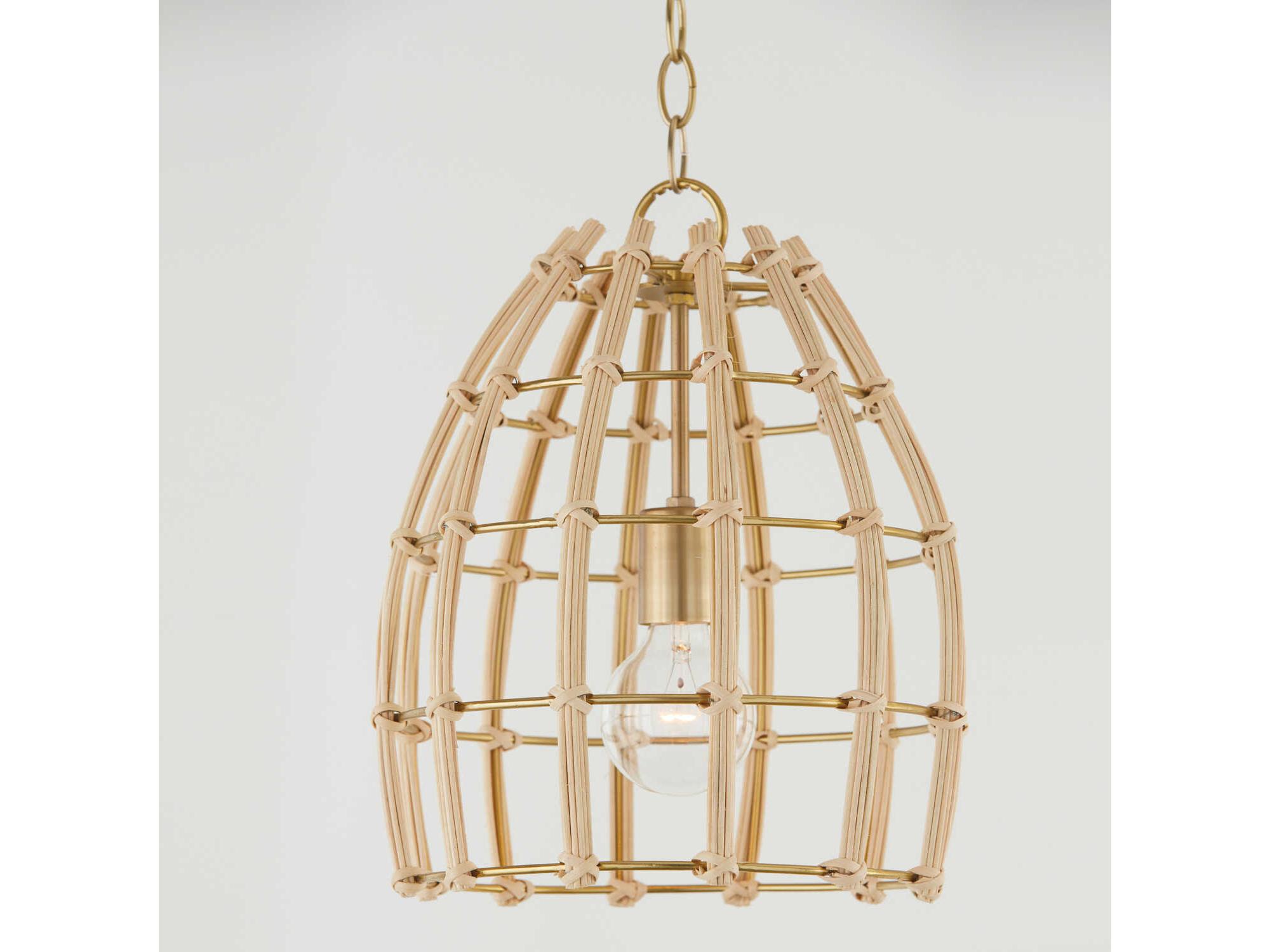 Capital Lighting Wren 1-Light Matte Brass Dome Mini Pendant