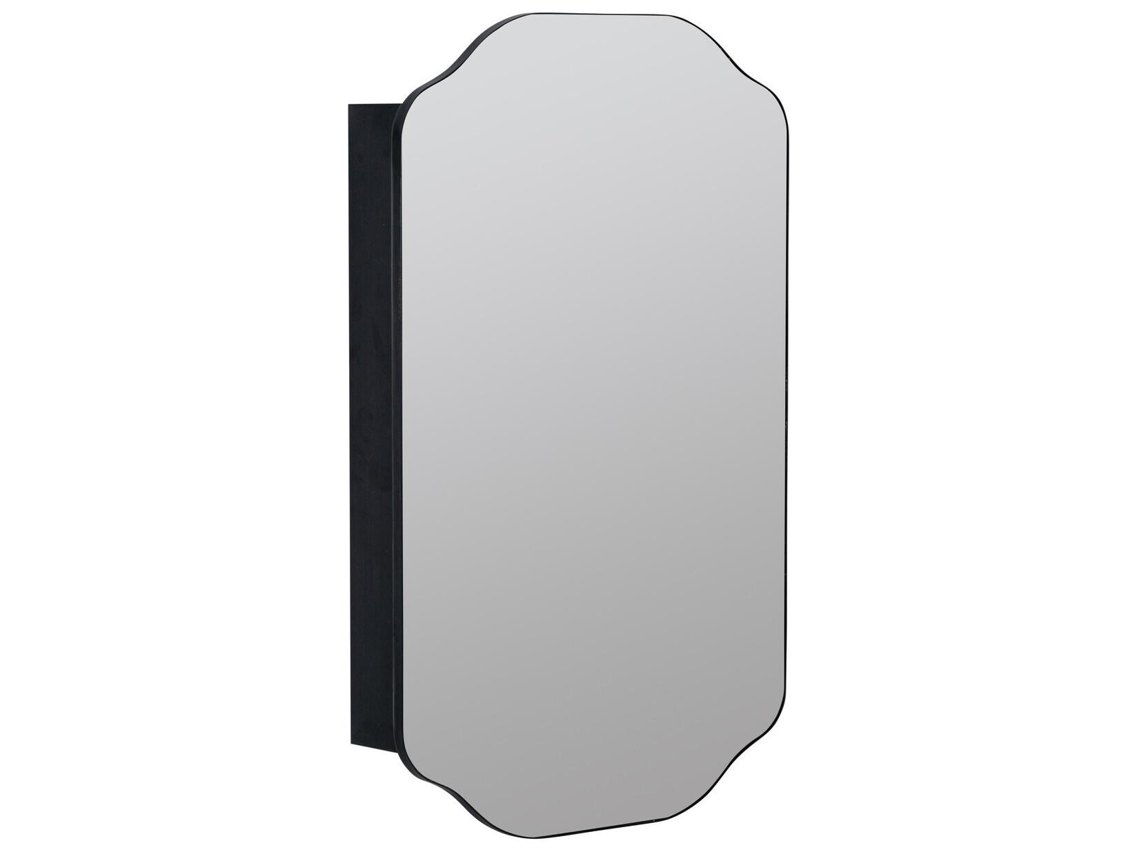 Cooper Classics Sebastian Black Medicine Cabinet